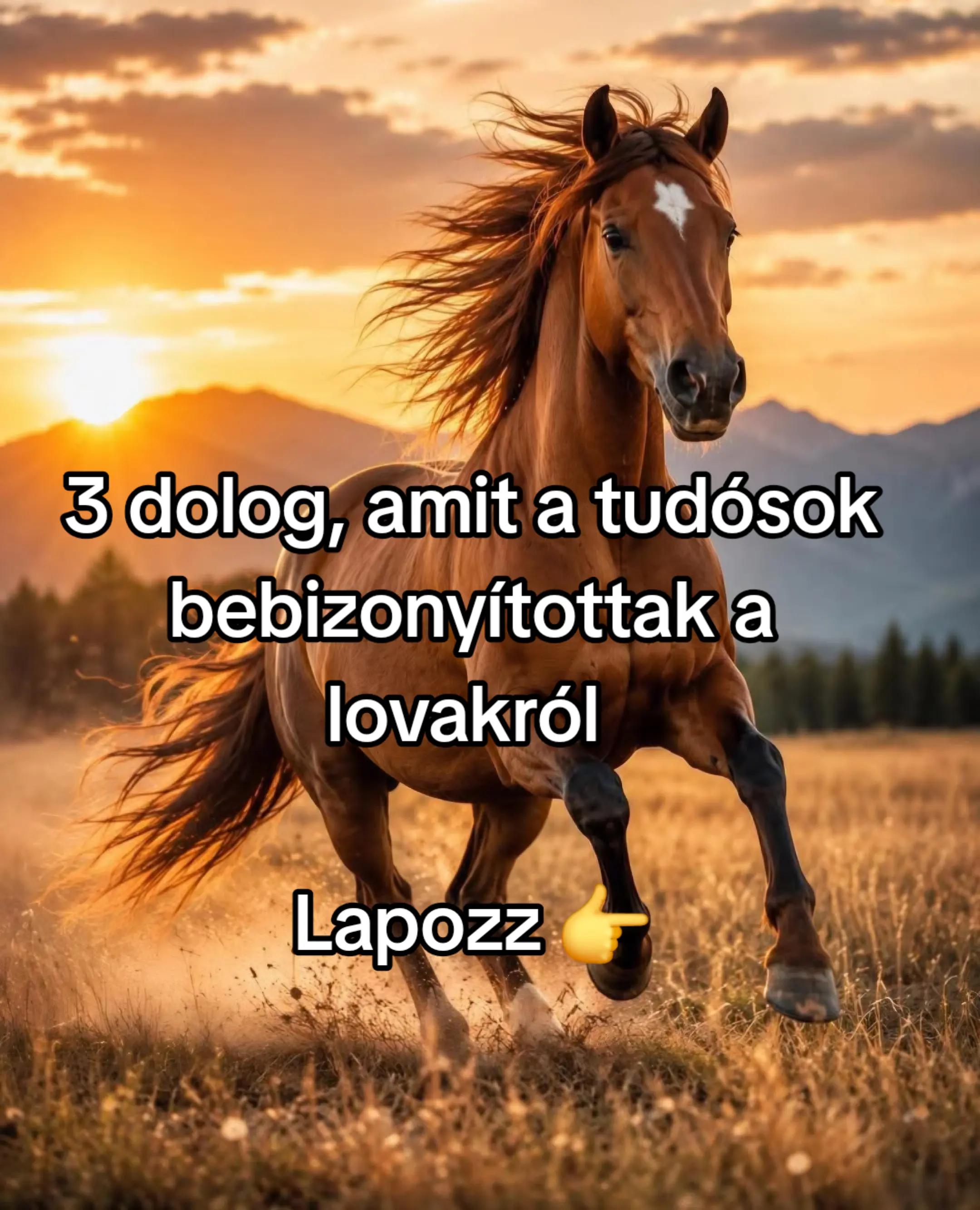 @🌒🔮Dödöllevirág 🧙♀️🌔