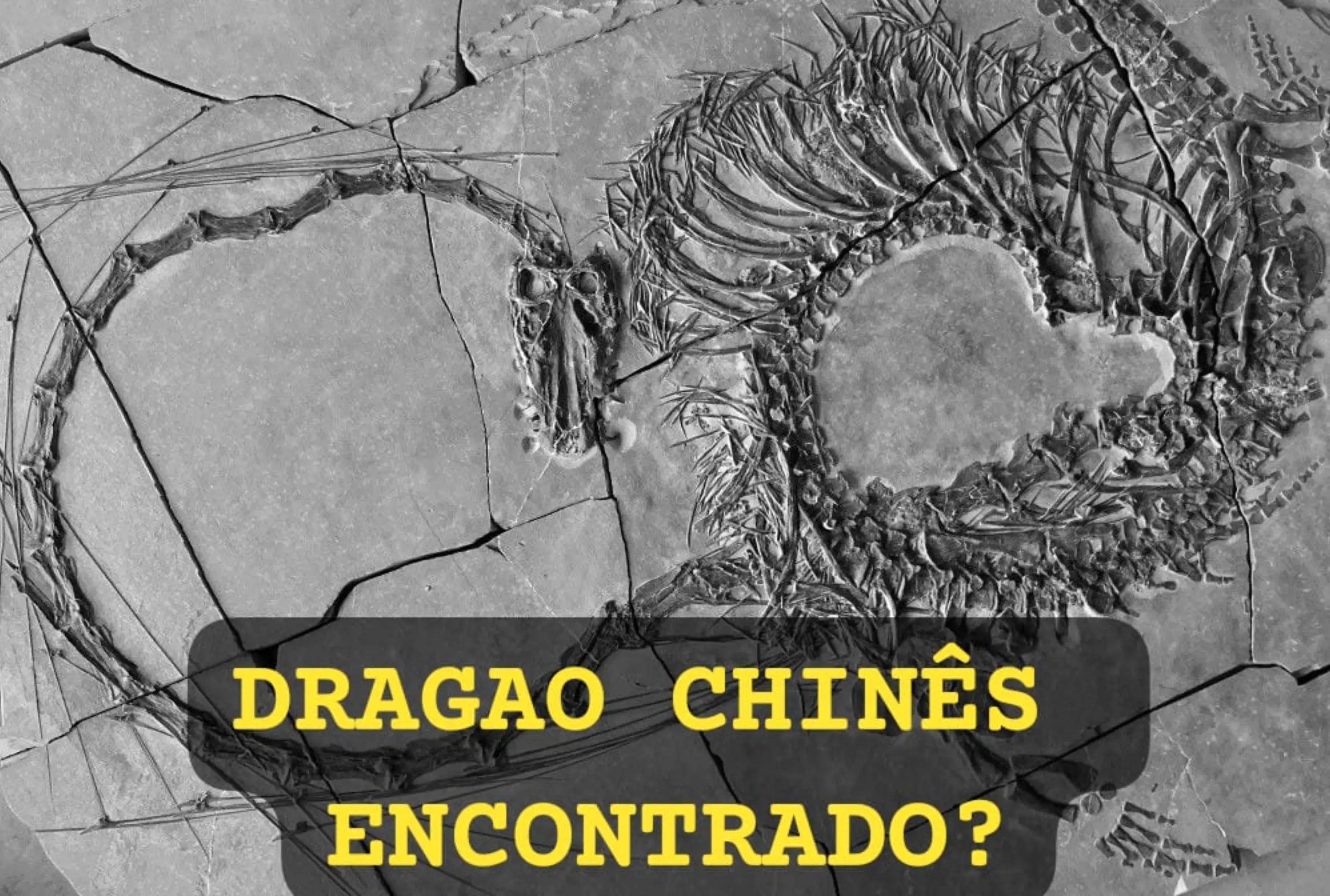 @Curiosidades Do mundo
