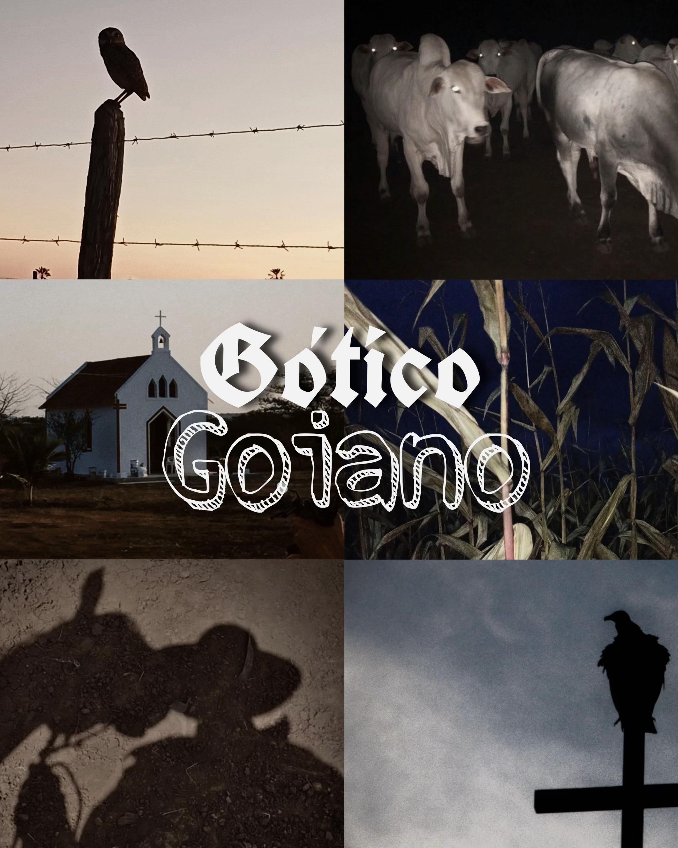 @🖤🦇 Piter Salvatore 🖤🦇