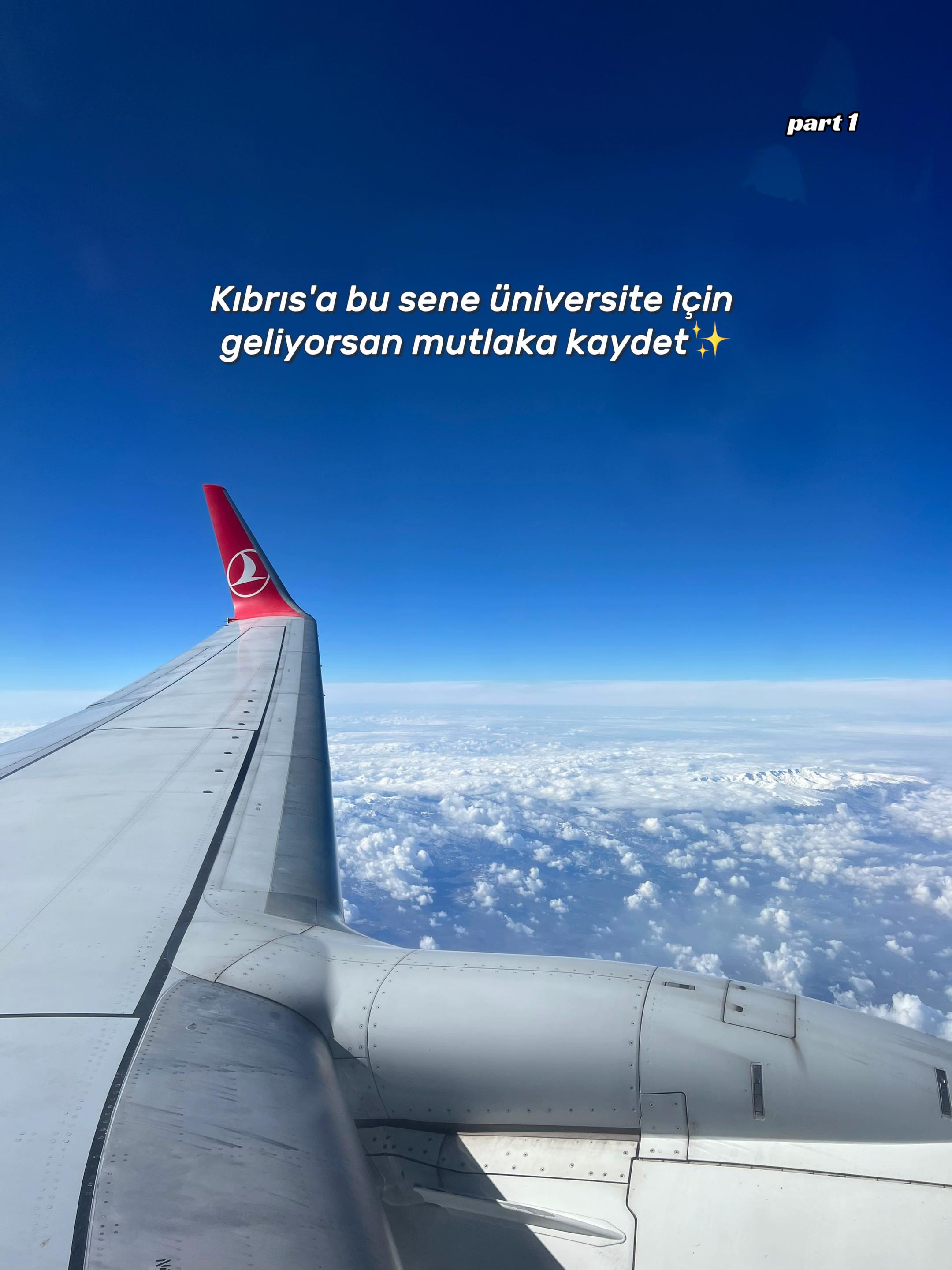 @ИK🦩
