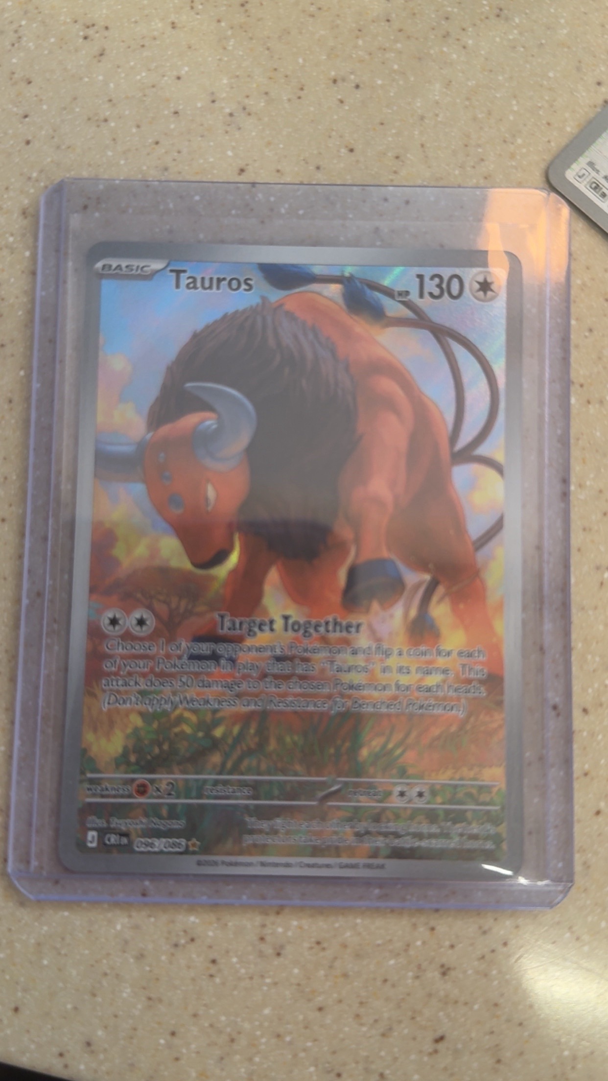 @elcompa_pokehunts