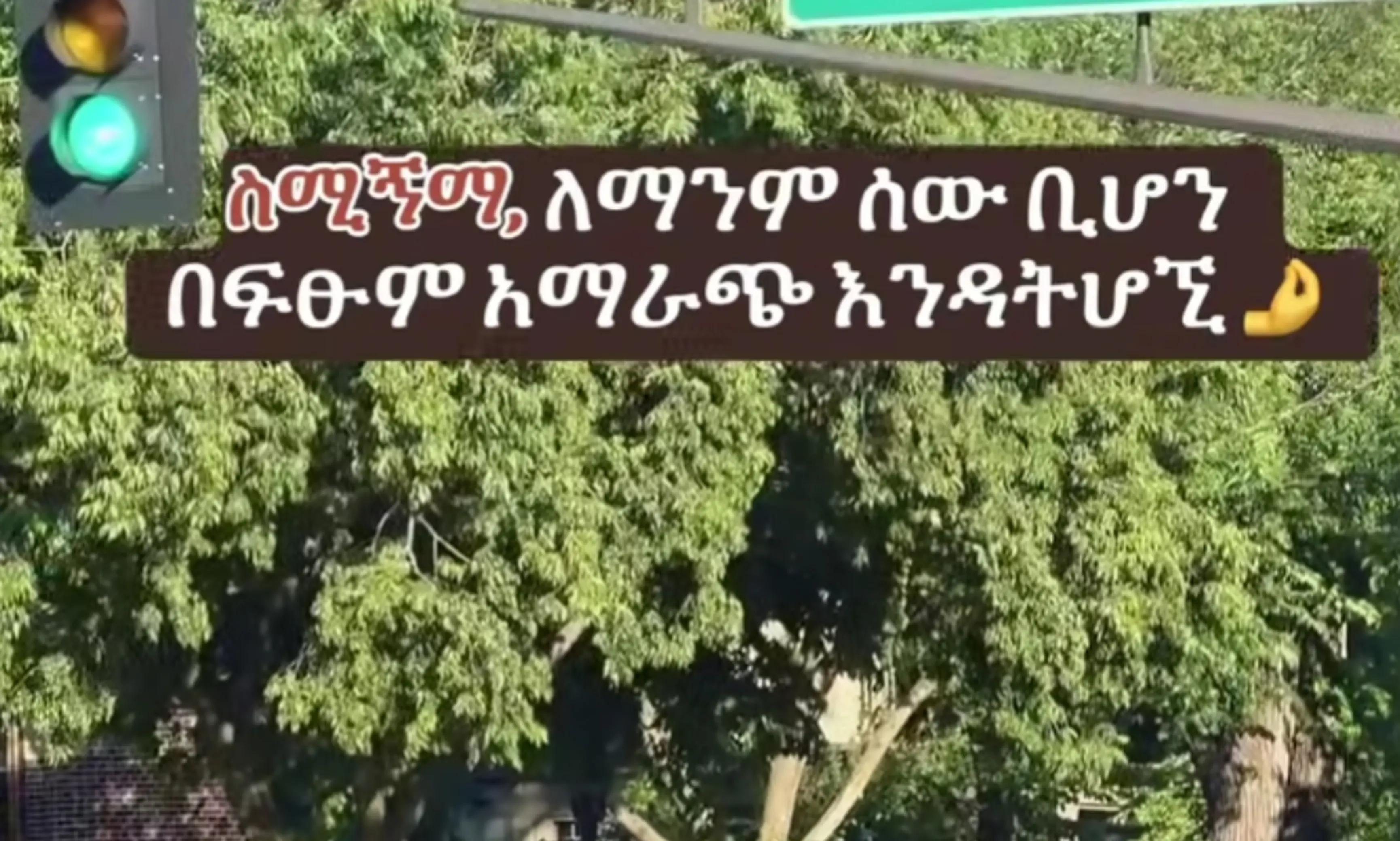 @Hanan 56🦋⚖️حنان