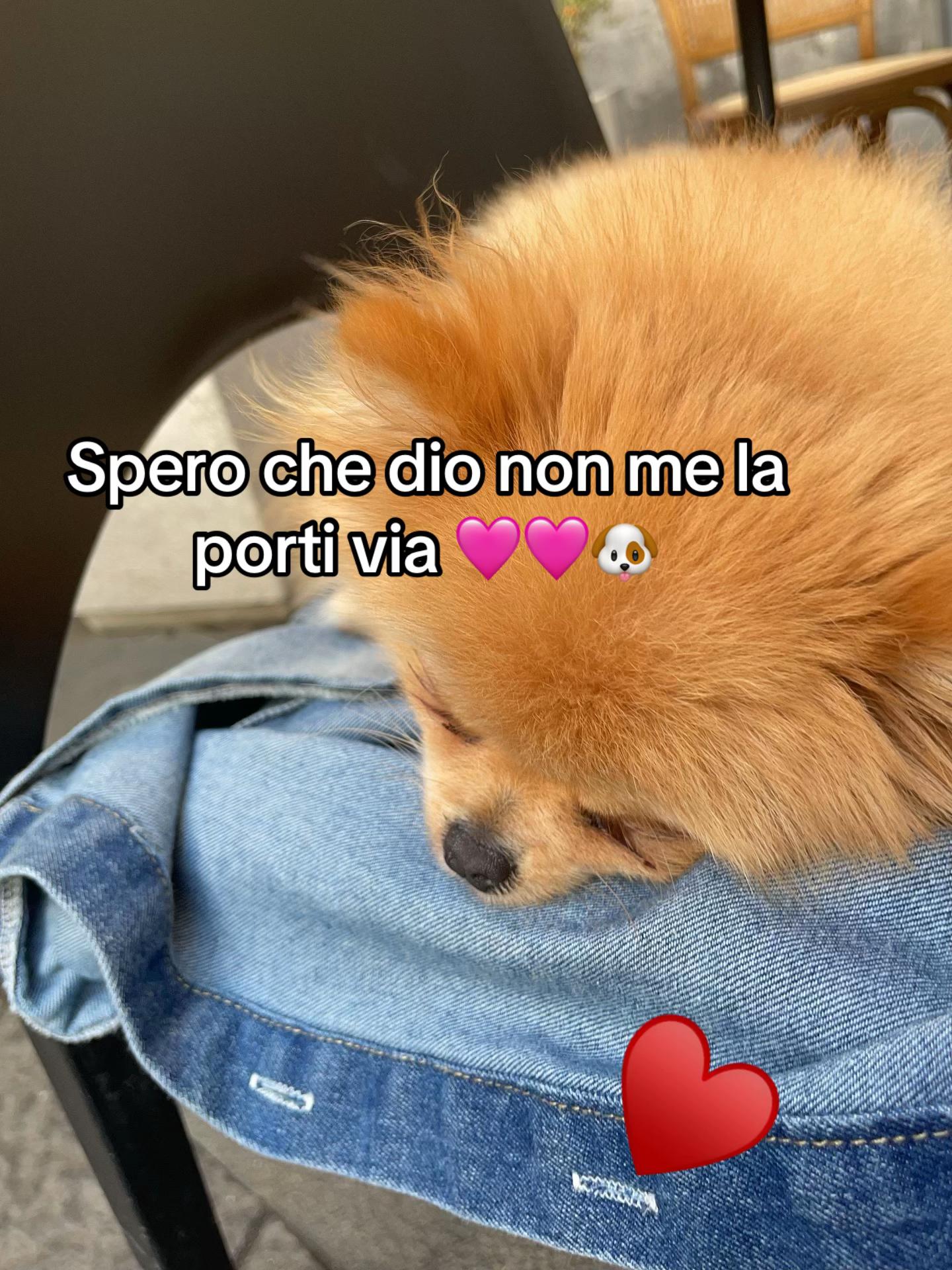 @F🎀