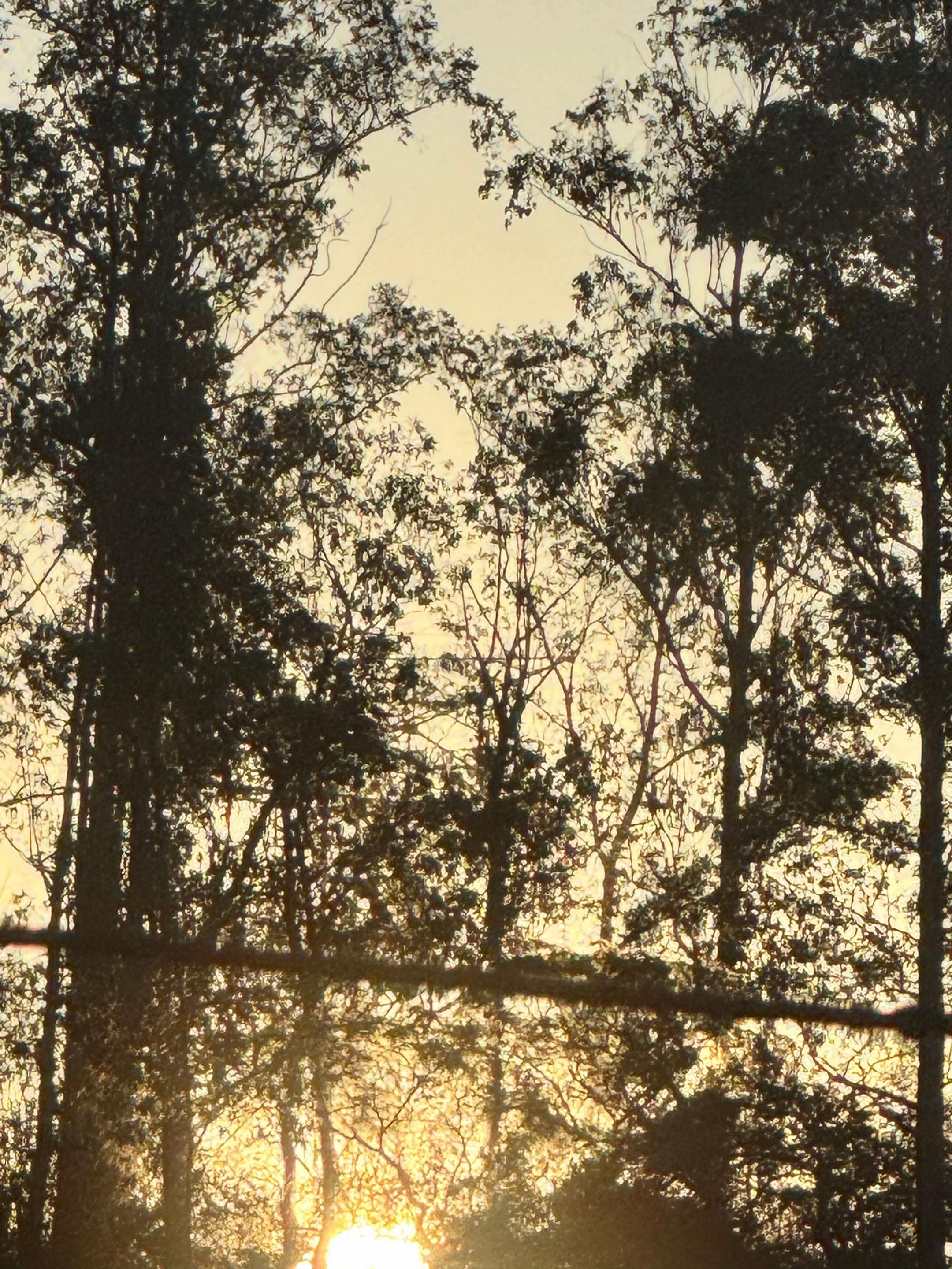 @Li A l i n e