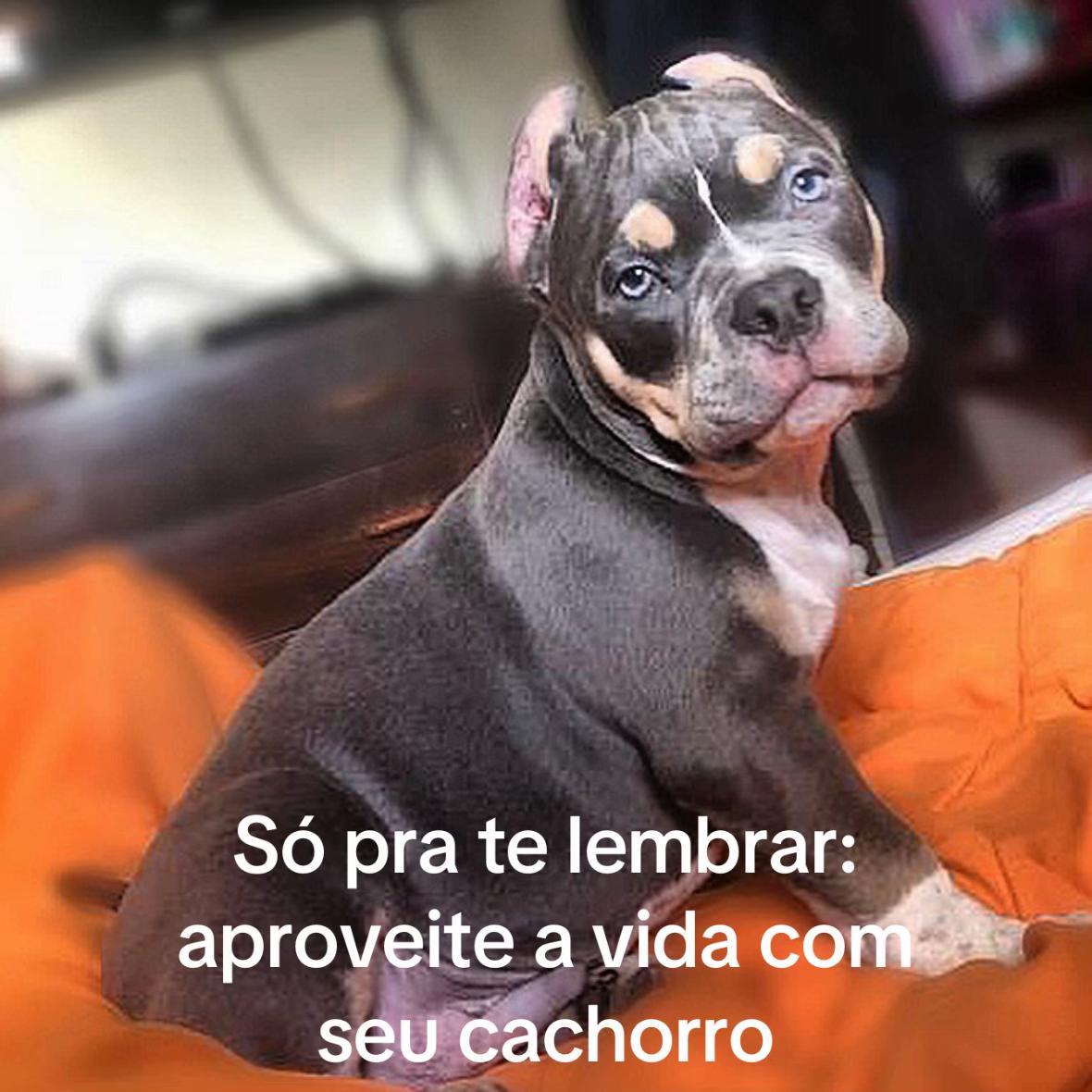 @Thais Silva