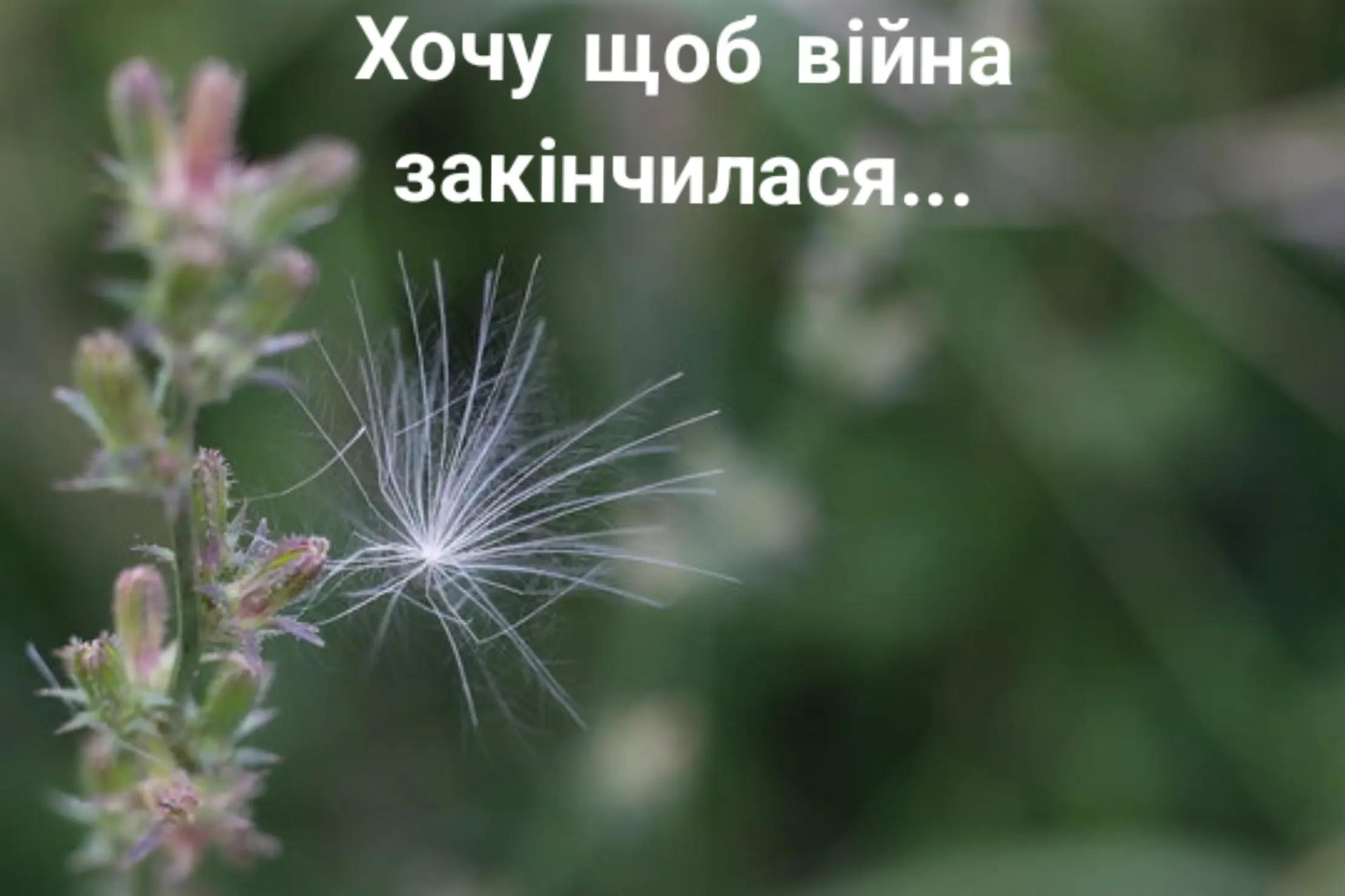@𝒴𝓀𝓅𝒶𝒾̈ℋ𝓀𝒶