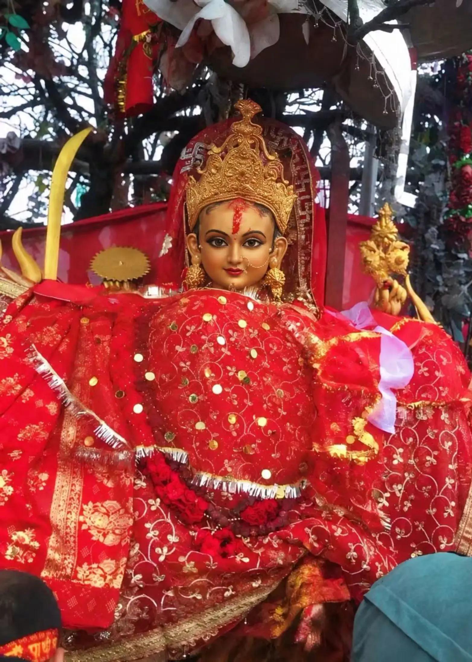 @जय माता पाथीभरा