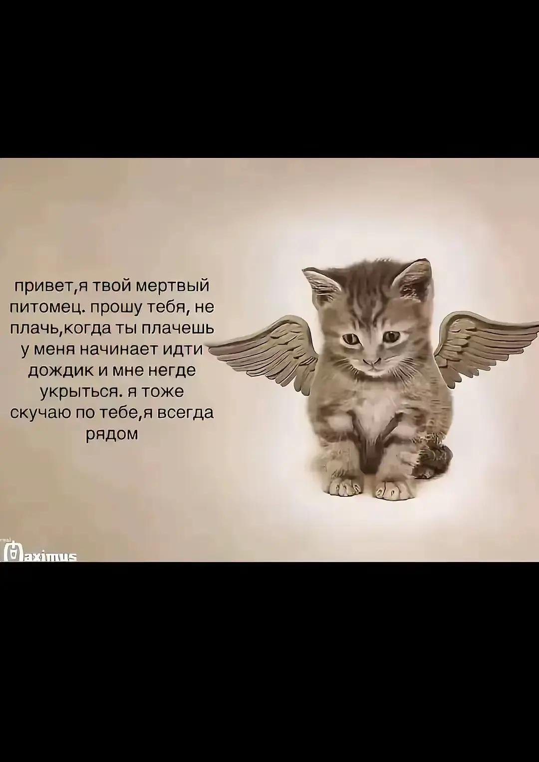 @даша(