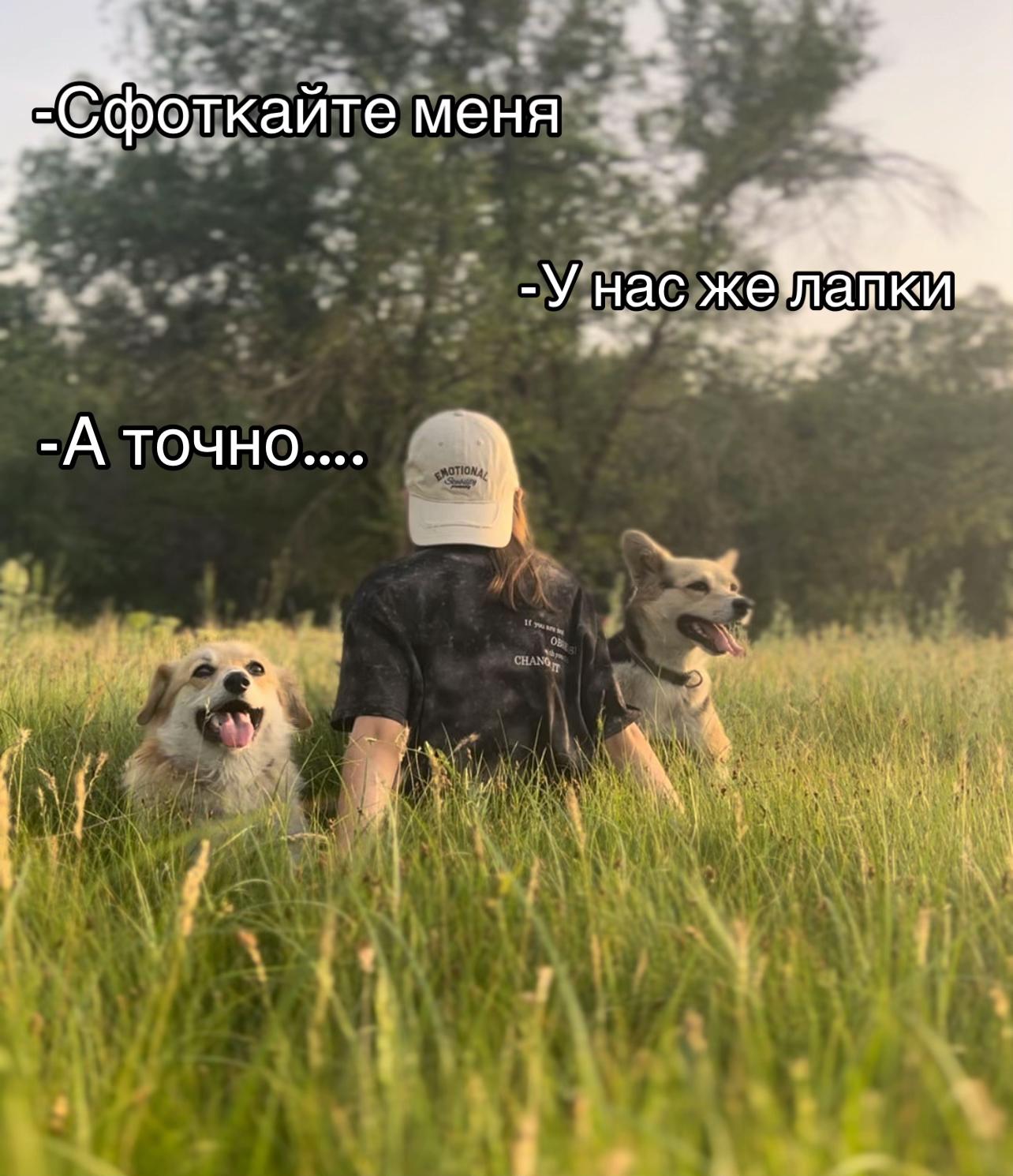 @НЕ КОРГИ