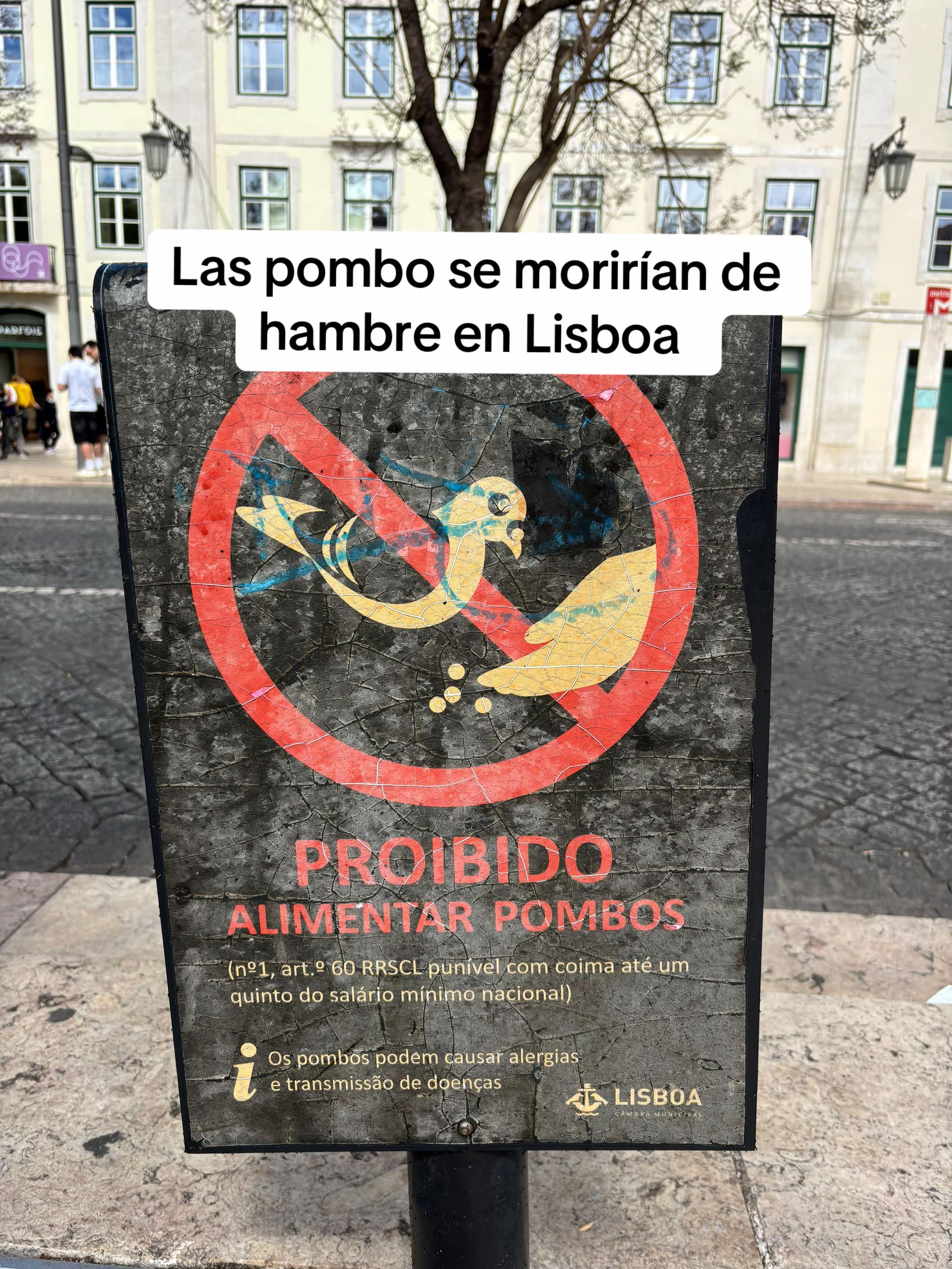 @Alba Mondaray