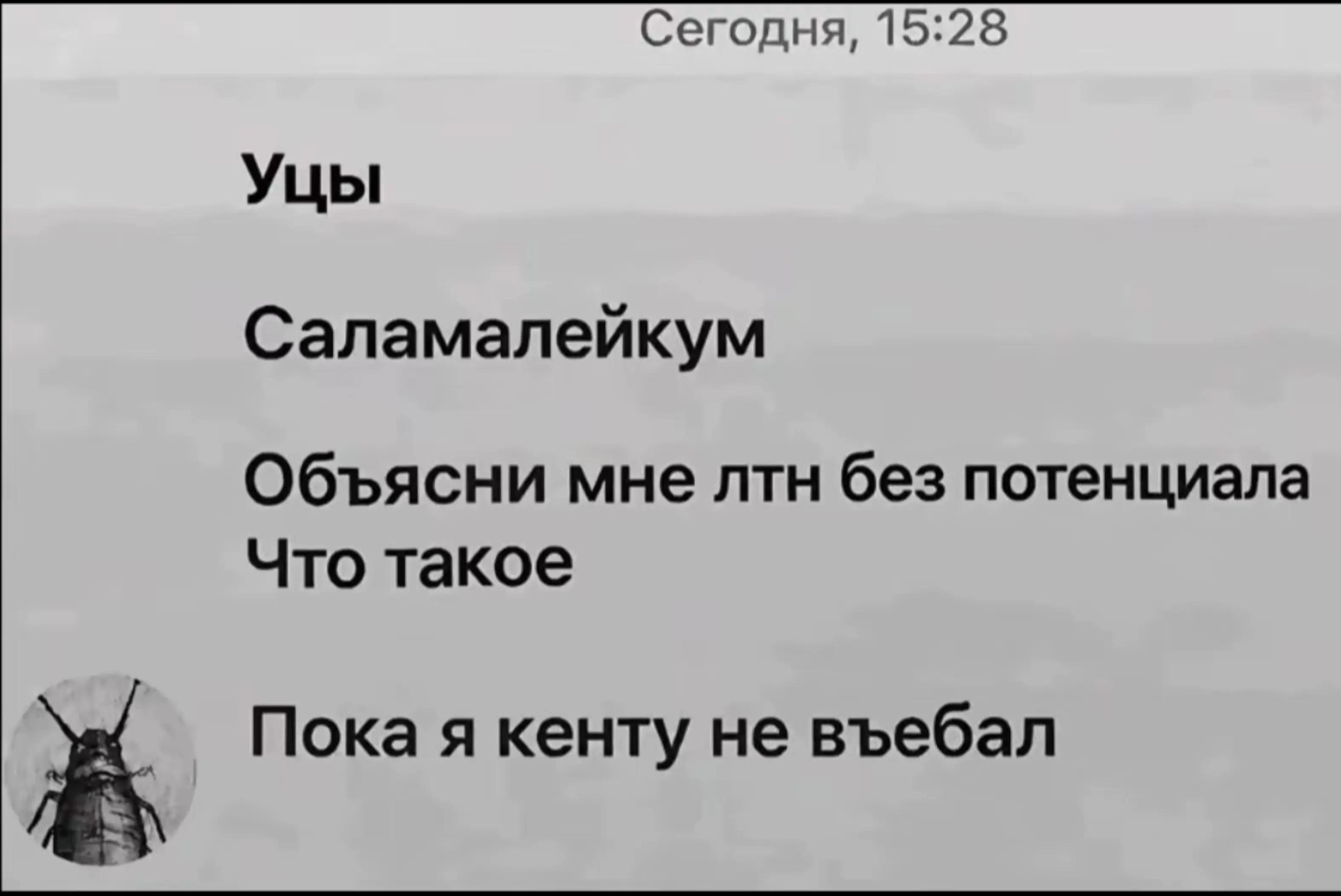 @тгк: suchkaromki