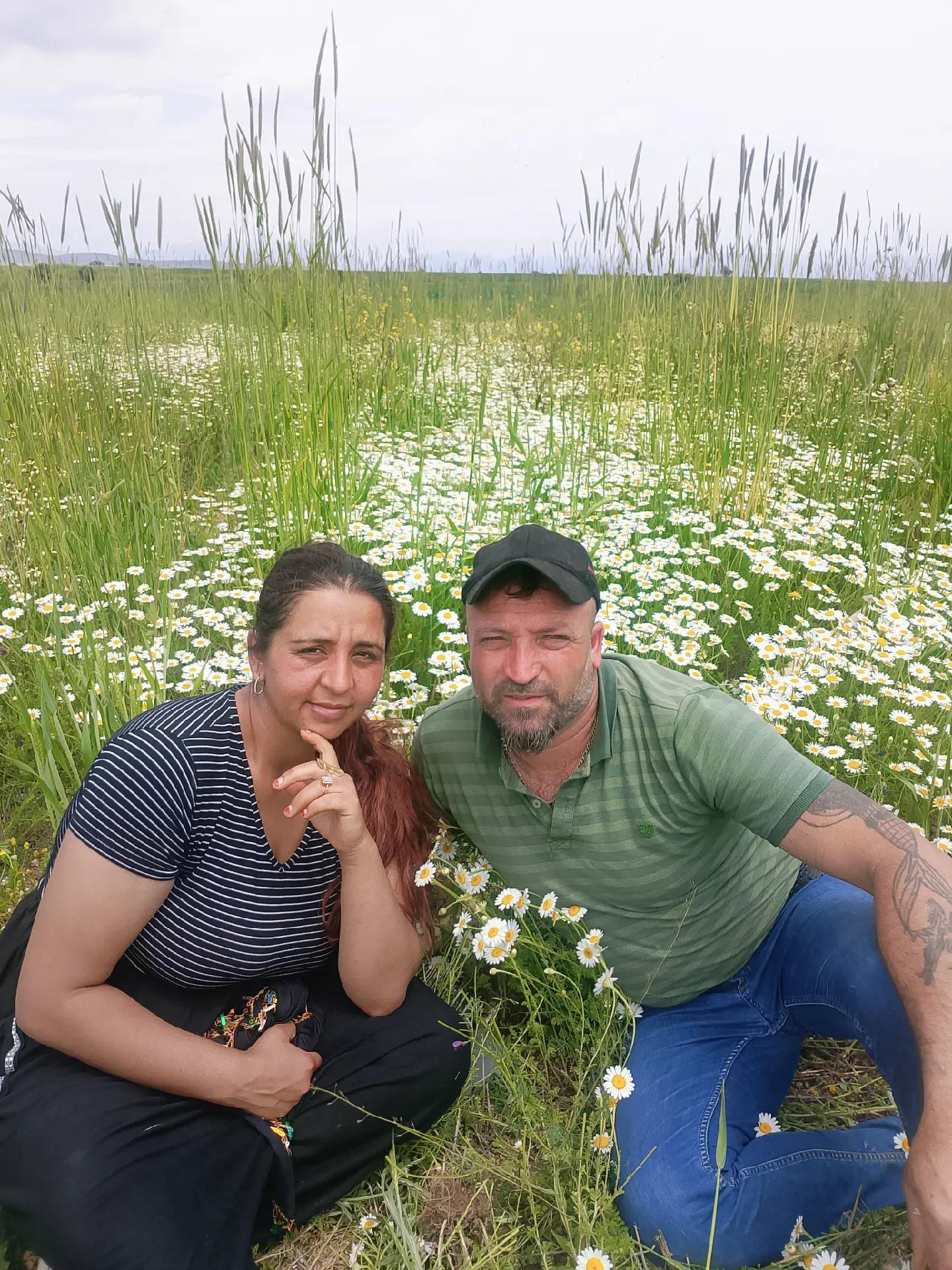 @sarı Kral