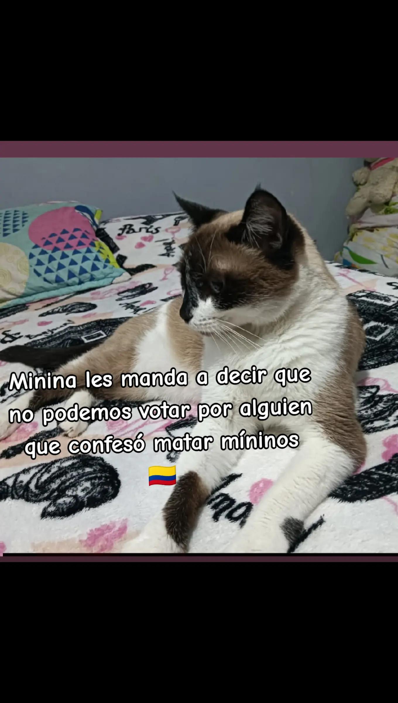 @Key A. Suárez ✨