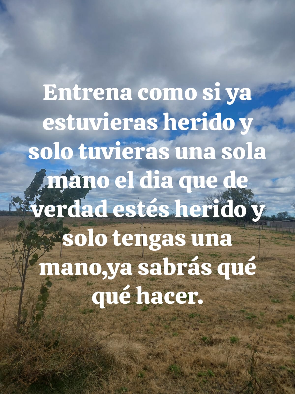 @normita