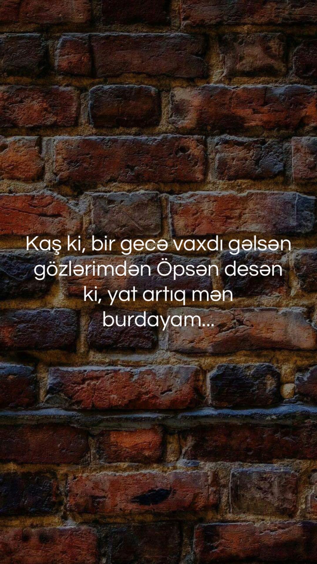 @musiqi_qidasi