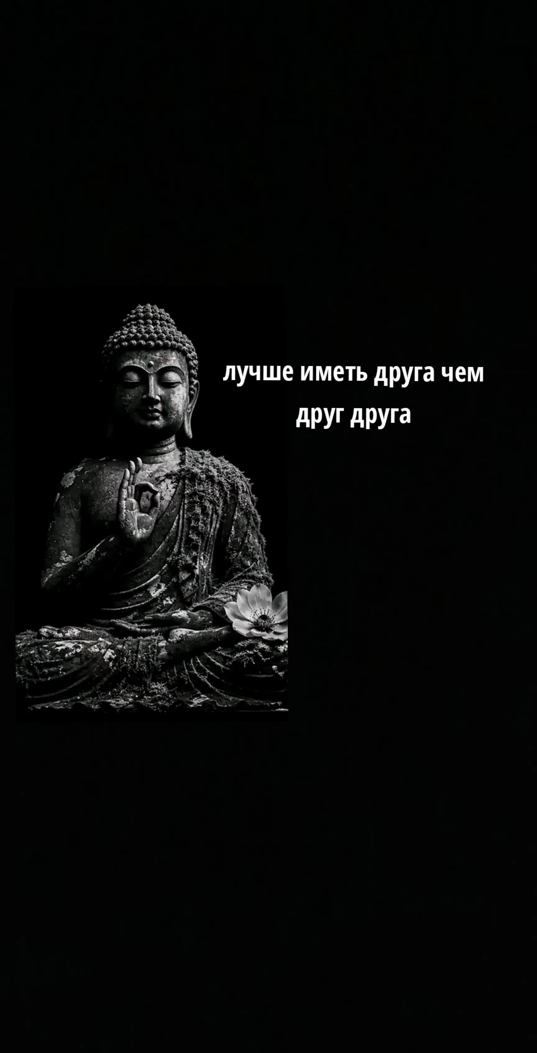 @ツ 𝕋ℍ𝔼 𝕄𝔸𝕏𝕊 ツ