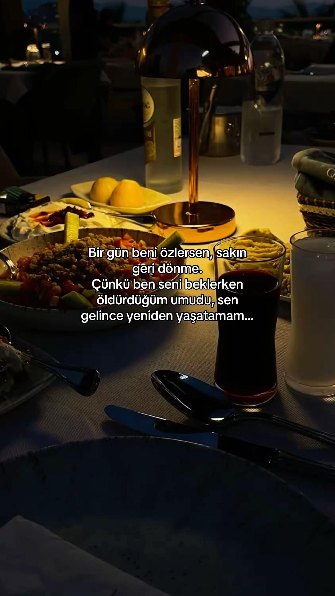 @seviyorgibiydin24