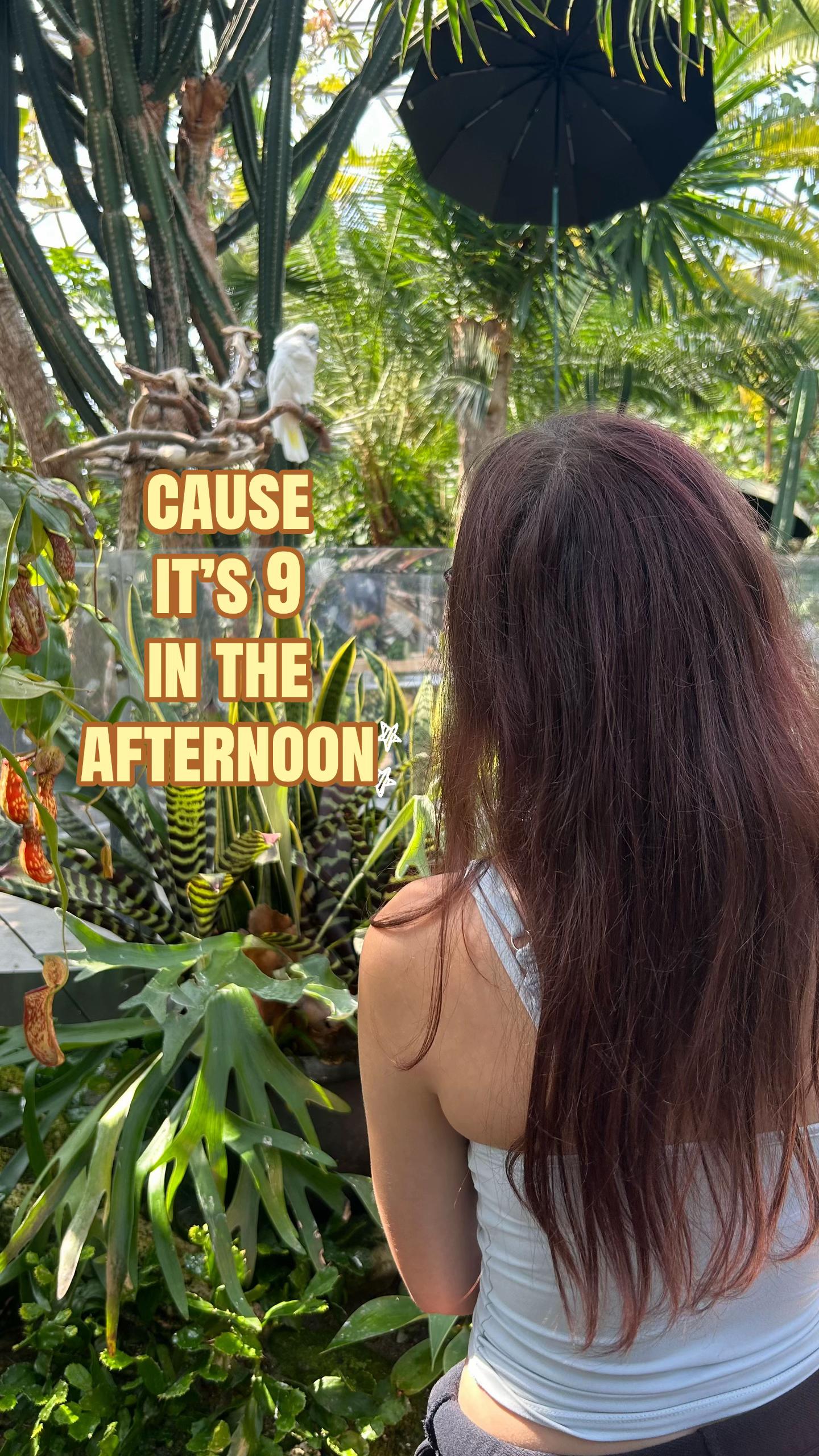 @ɪꜱʟᴀ
