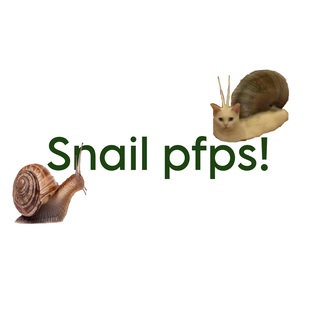 @⋆˙⟡𖦹✮𖦹⟡˙⋆