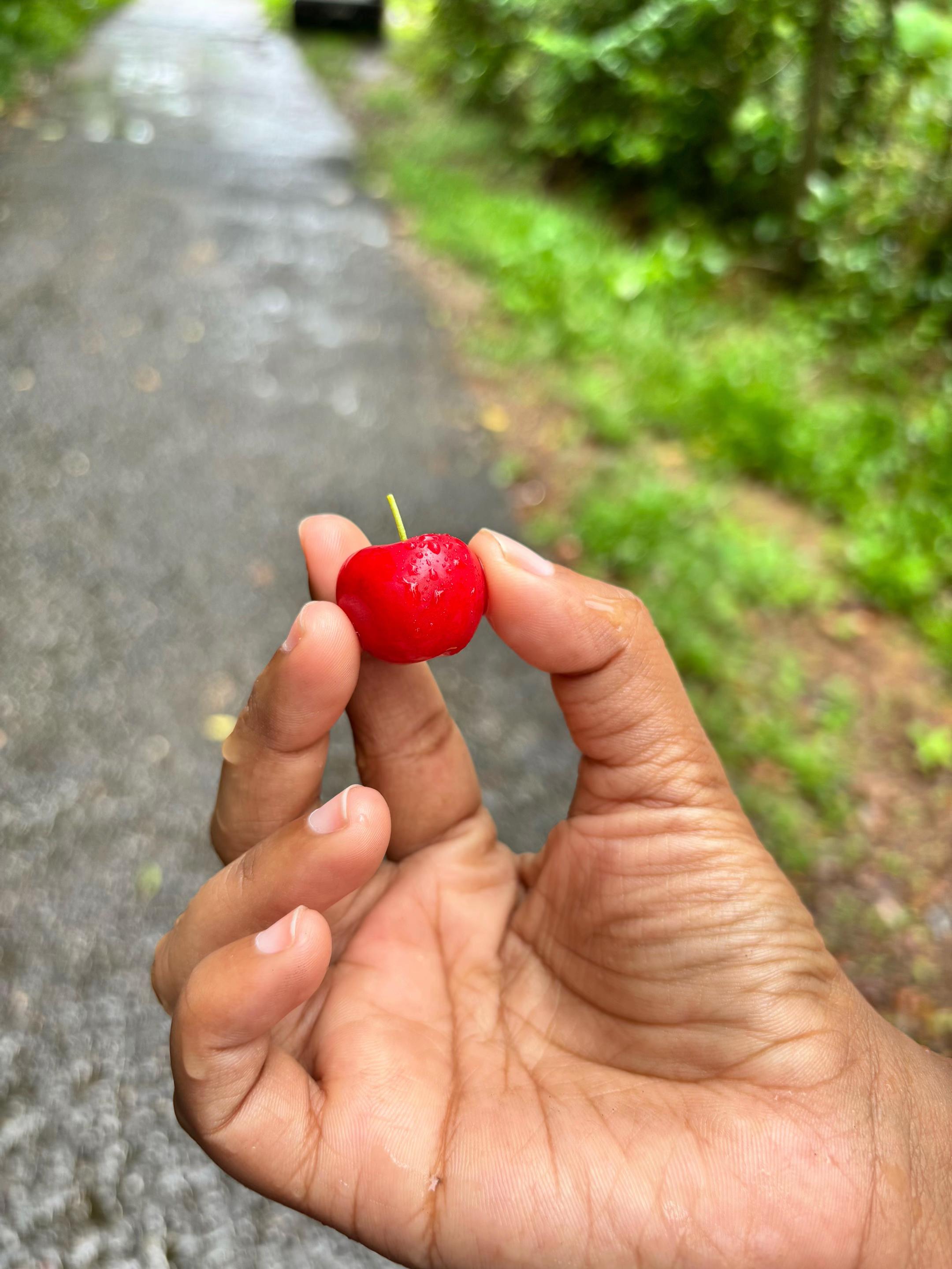 @Rashmi Gunawardana