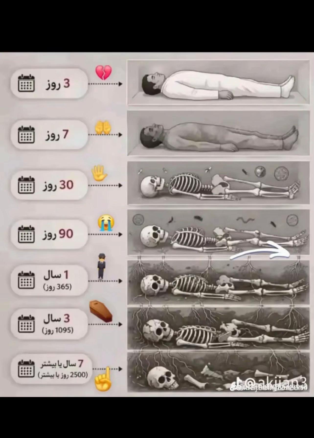 @꧁☠︎❤️🩹✨تنہا ہلک☝🏼☠︎꧂