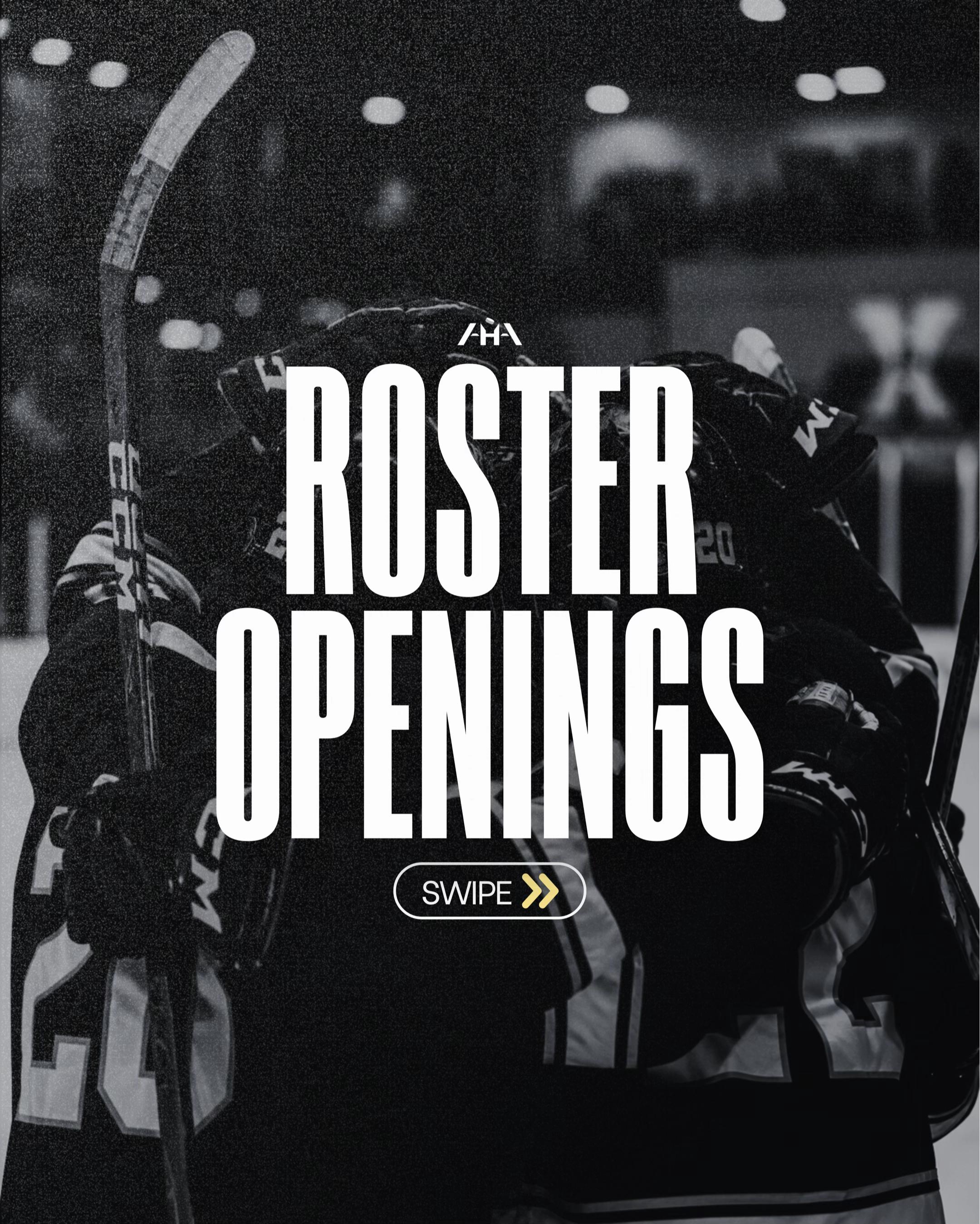 @Advancement Hockey Agency