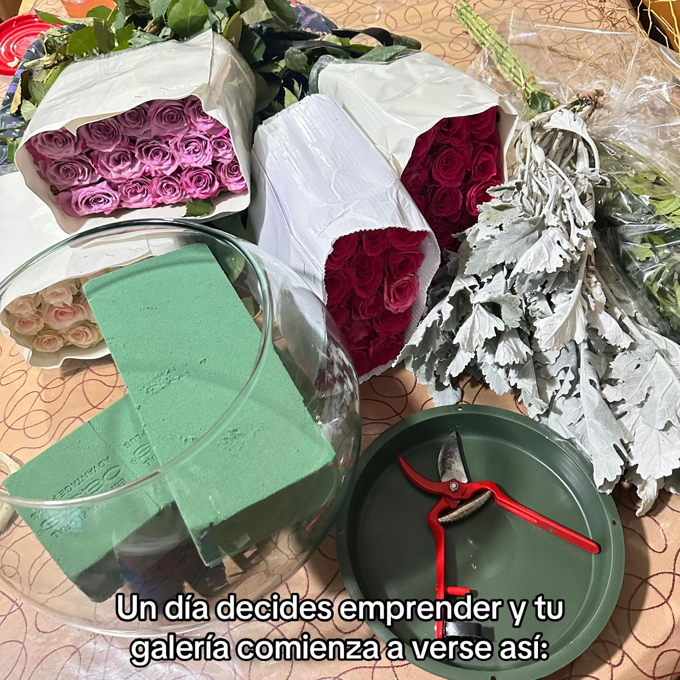 @D’cora_ShowMX