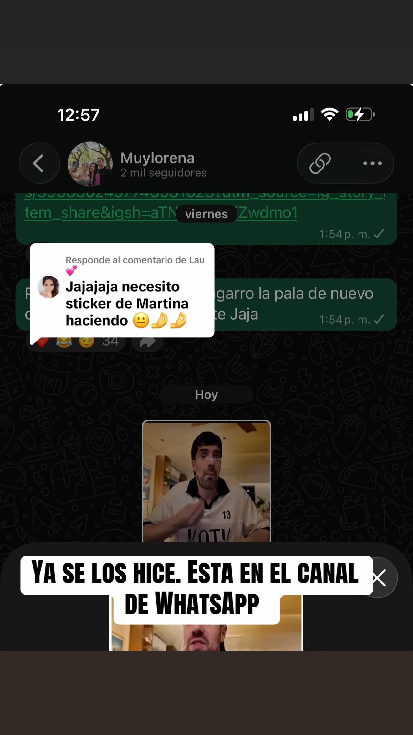 @muylorena