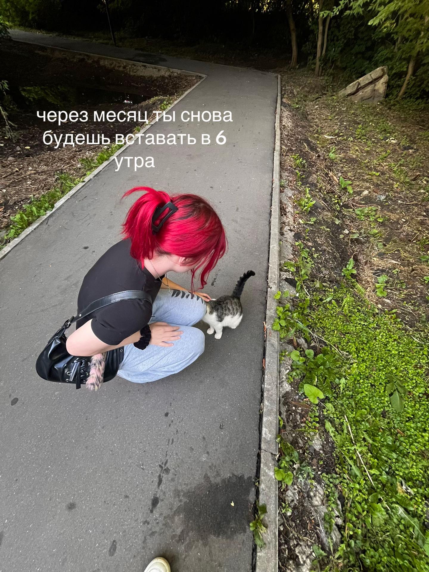 @тгк: полч я