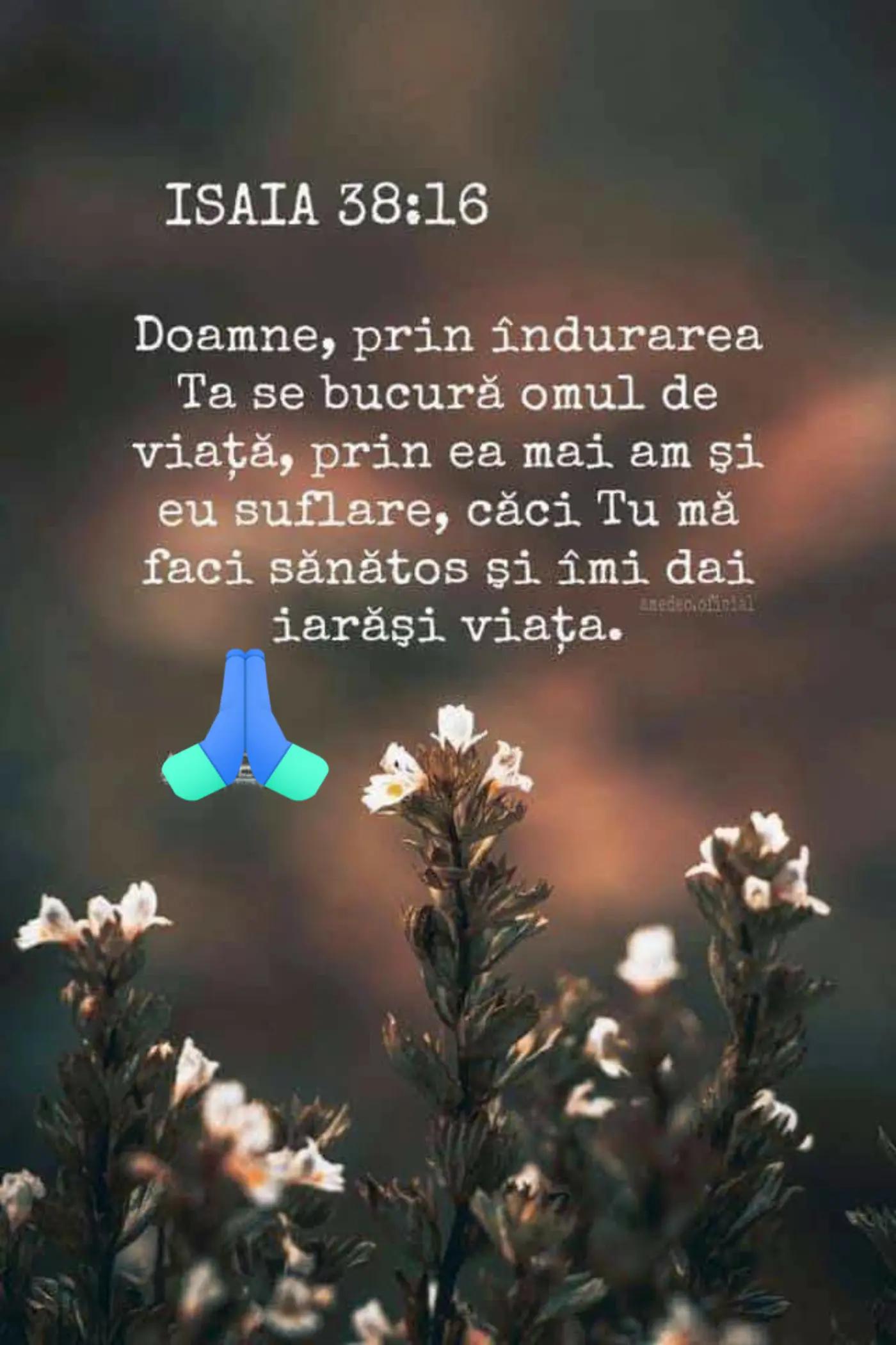 @antonela veronica