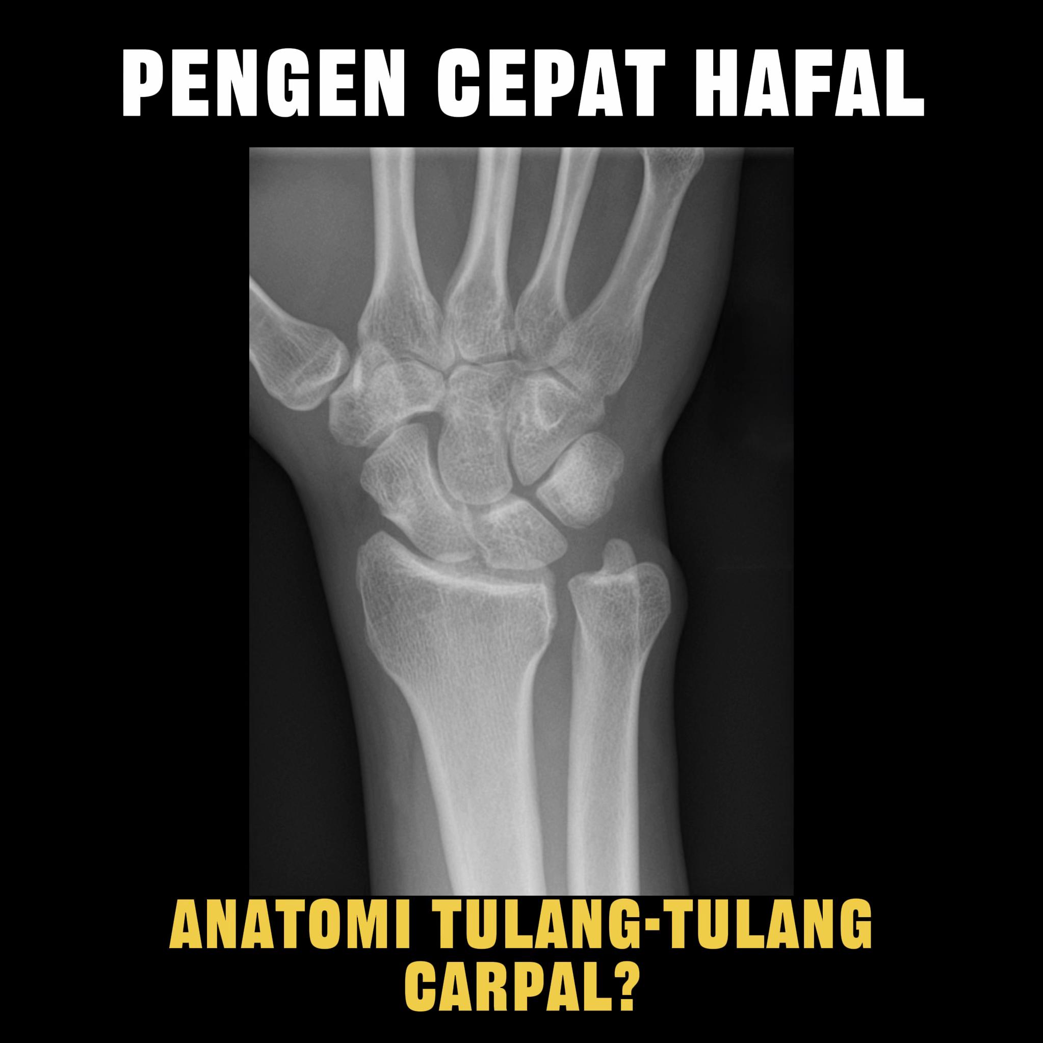 @Sobat Radiology