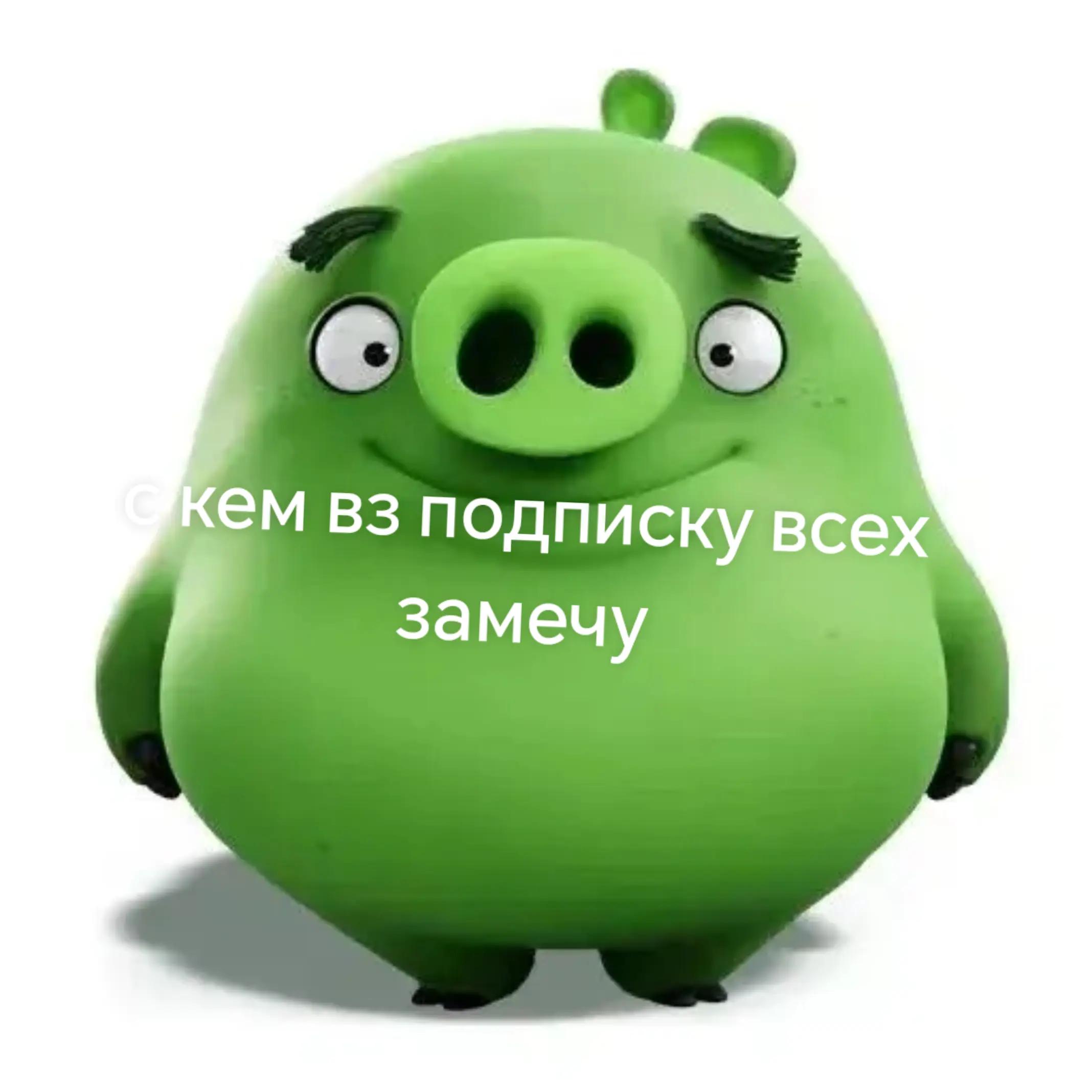 @хряк Александр