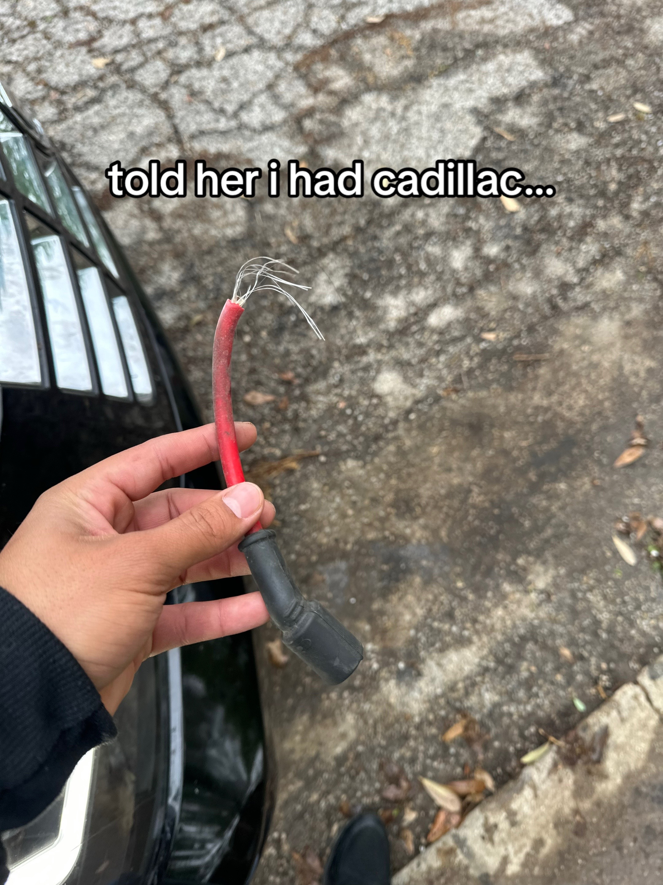 @javier