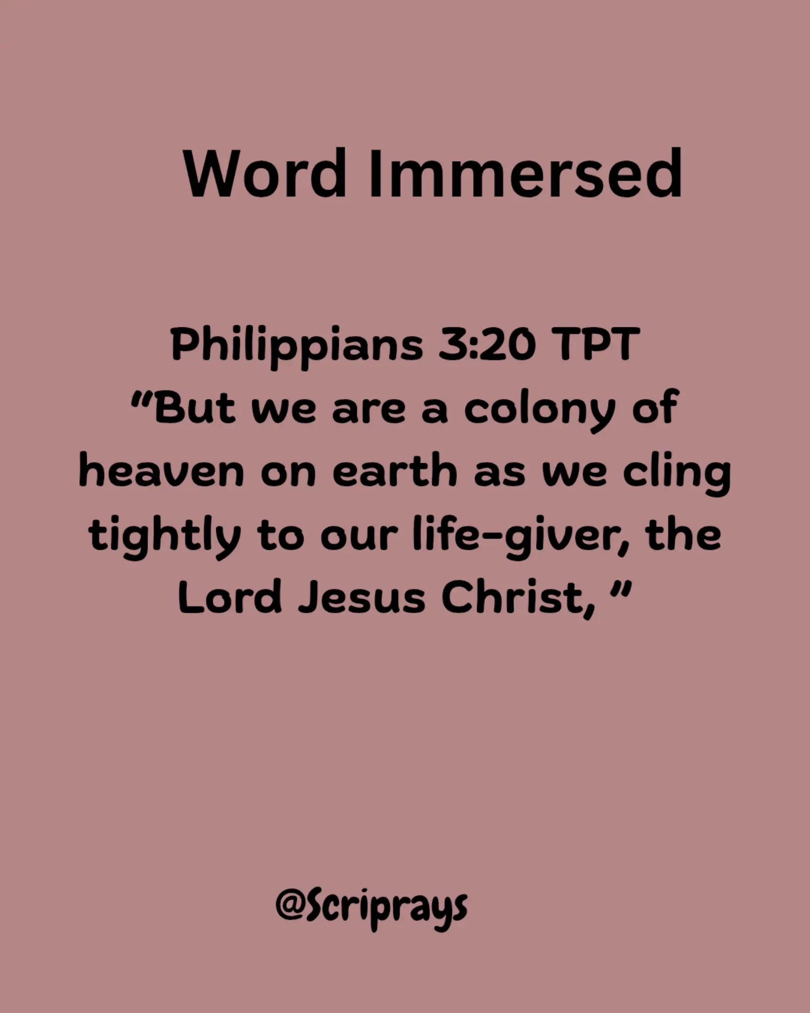 @Oluwayemisi Poju-Babalola