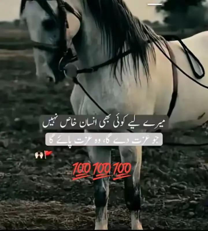 @Talha king
