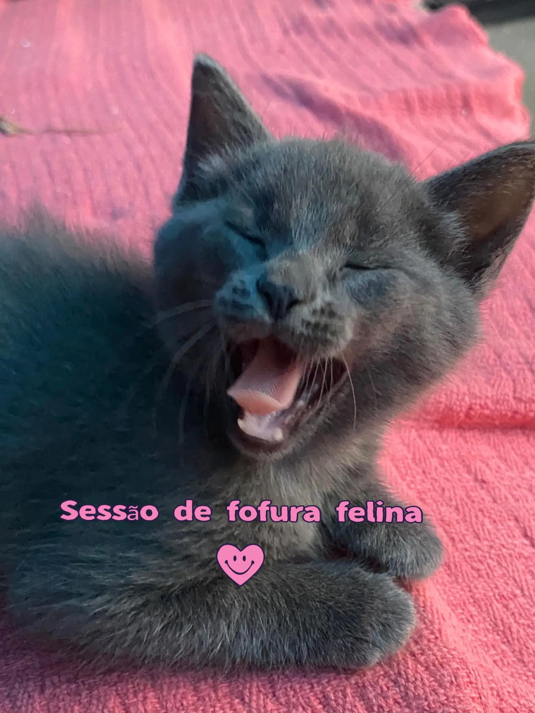 @taty_2803
