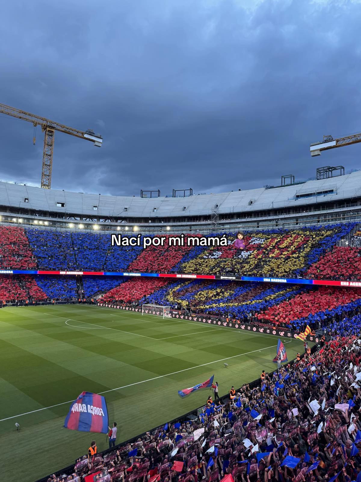 @Dylan Fcb