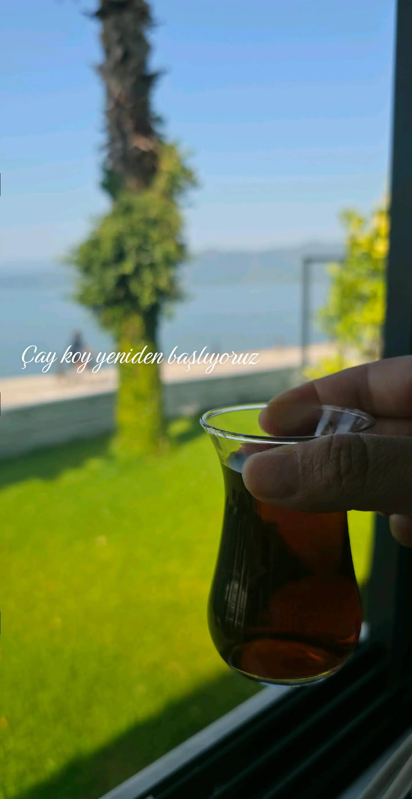 @meleksayılıev