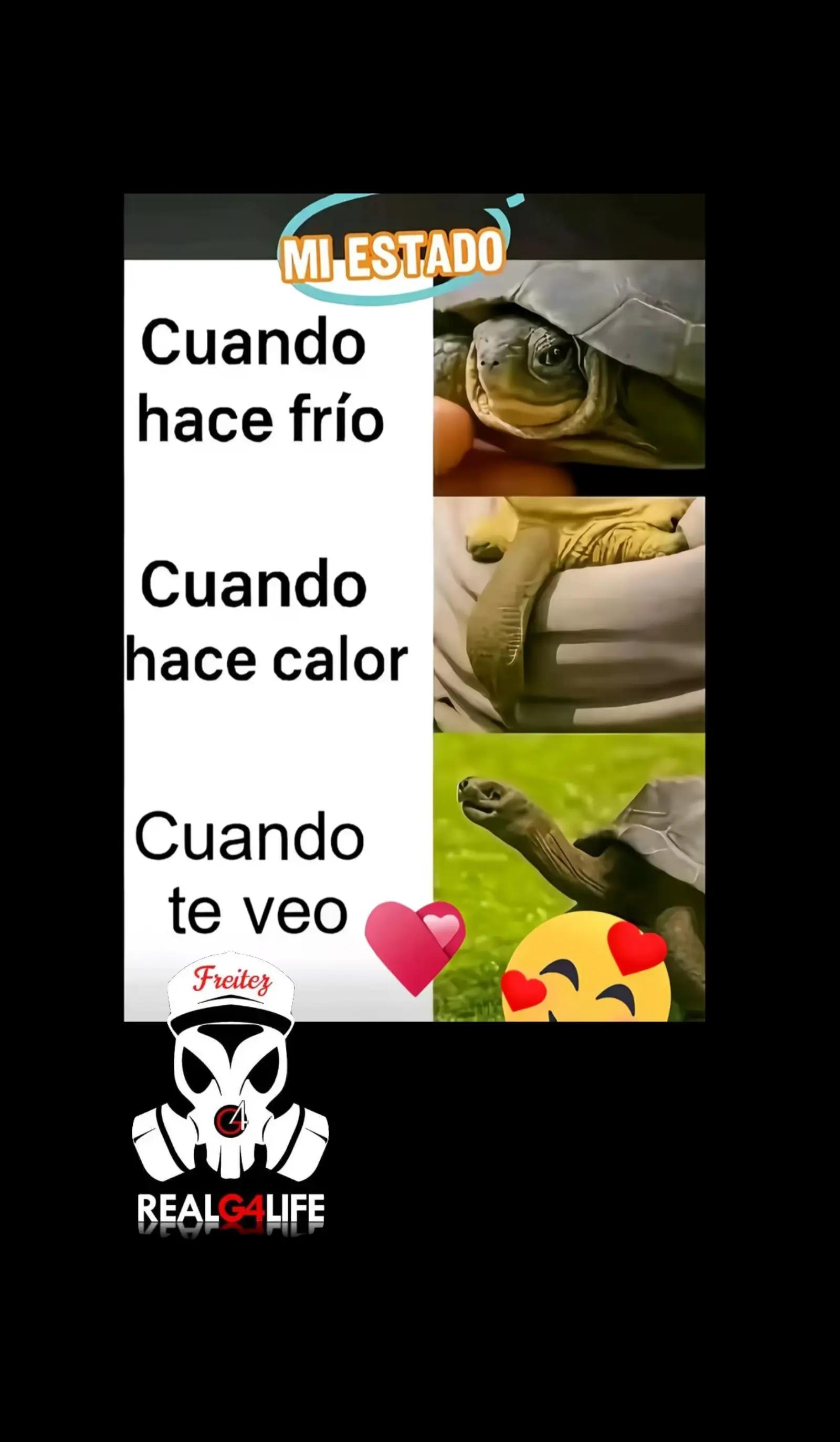 @👽..WF EL RUSO...👹