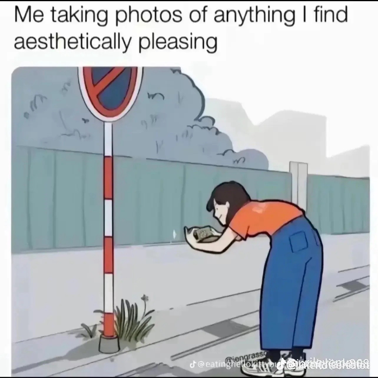 @liauna 🤍