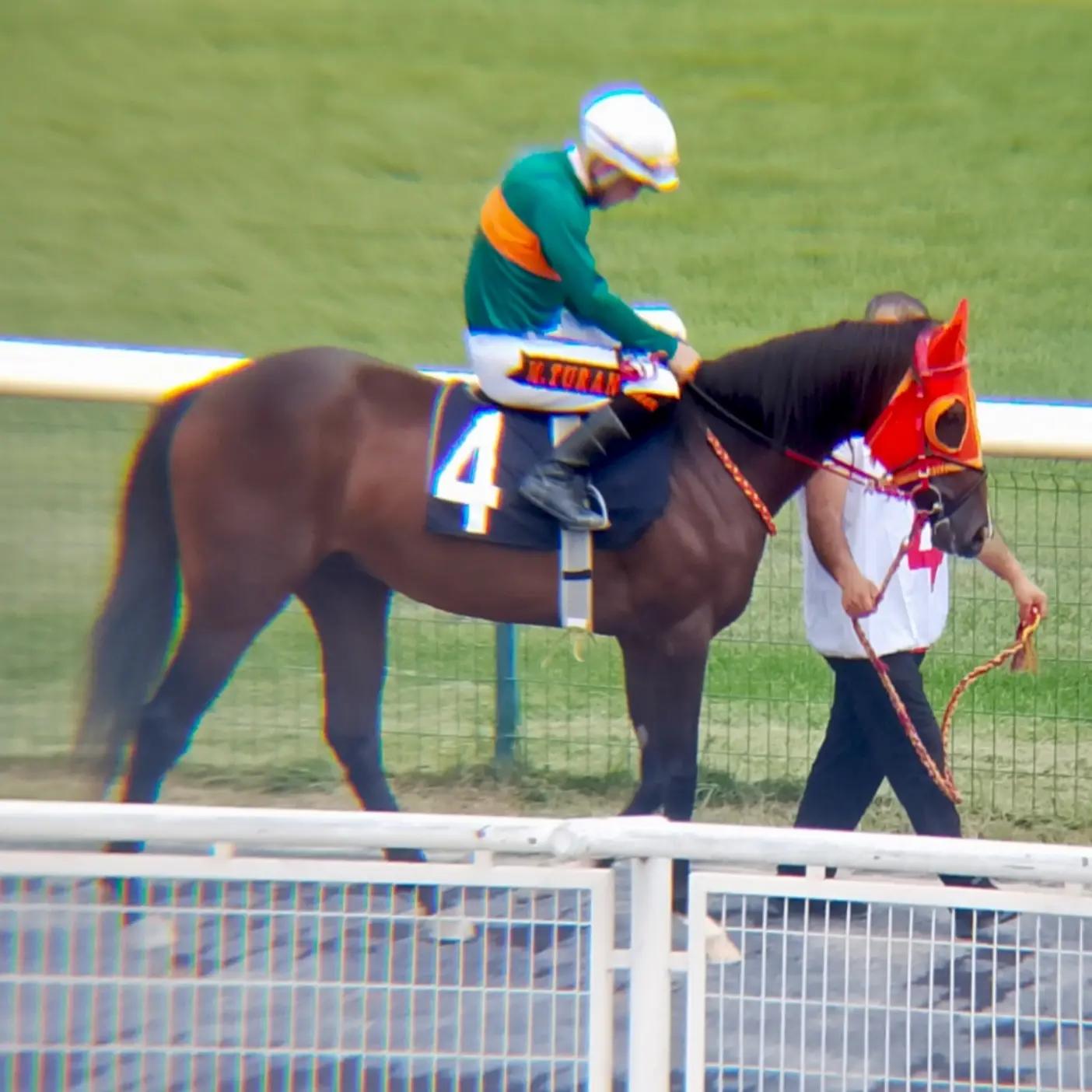 @brs horse racing