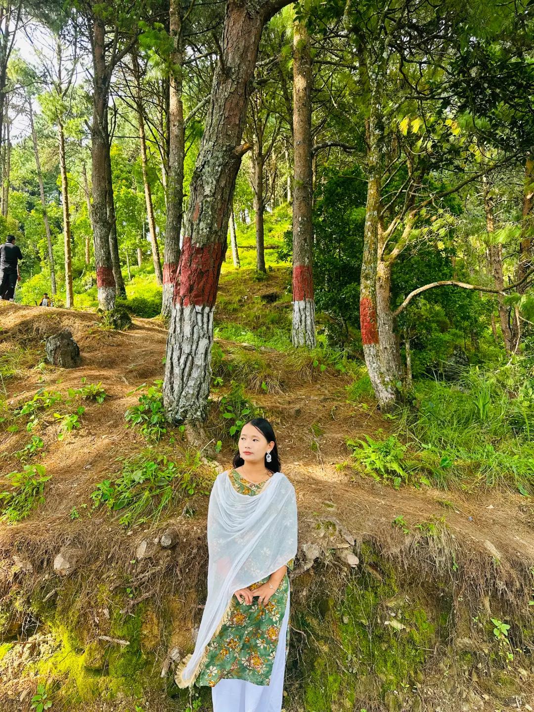 @Samikshya_Grg🧿