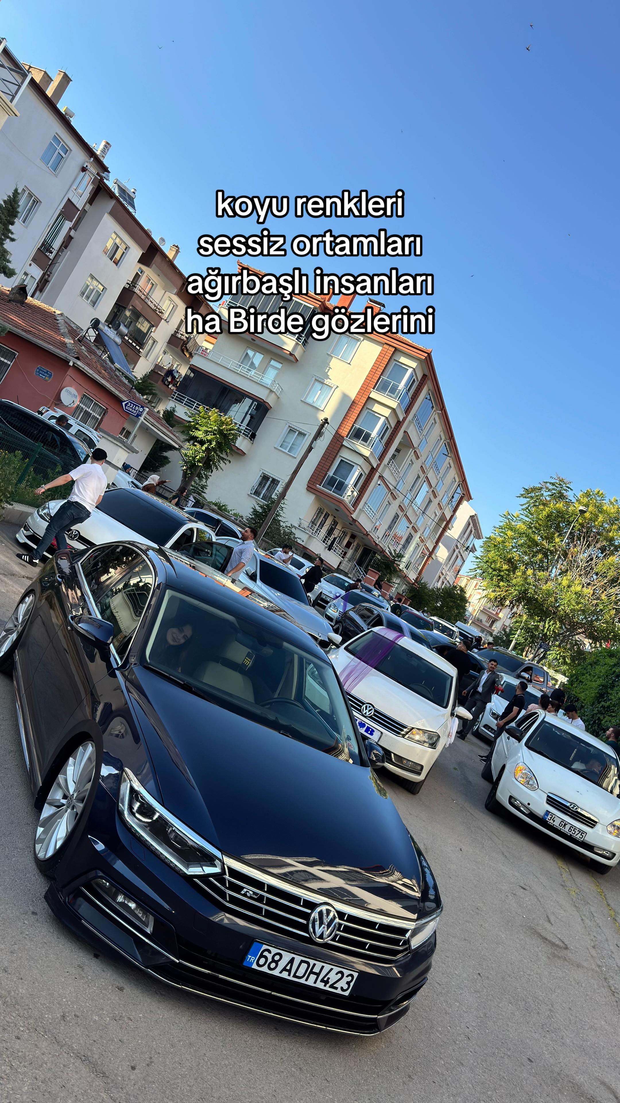 @Mevl&uuml;t Aktemir