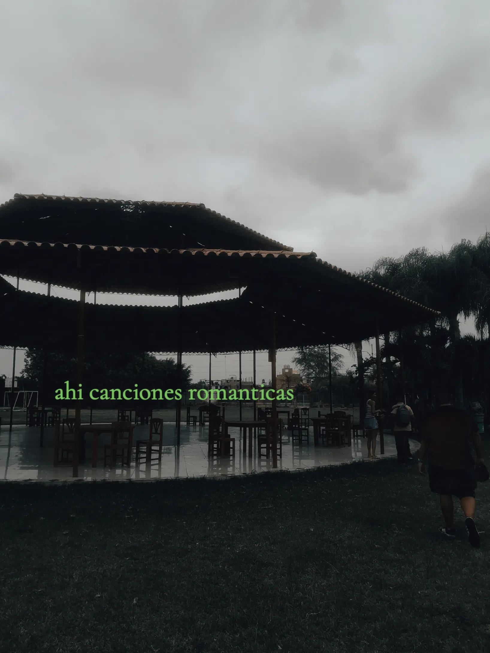 @Nicol Silupu