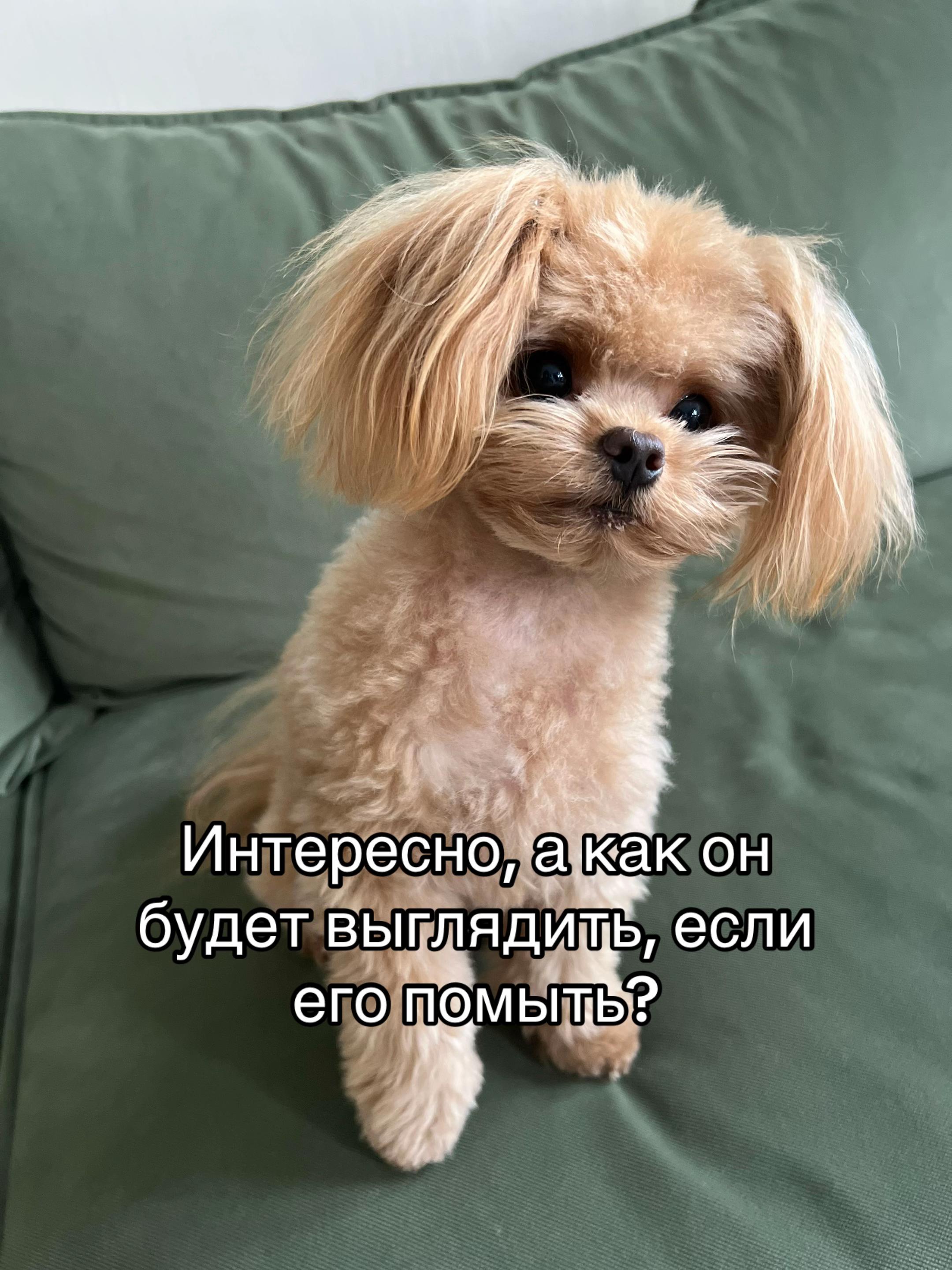 @Козлик Бафомет