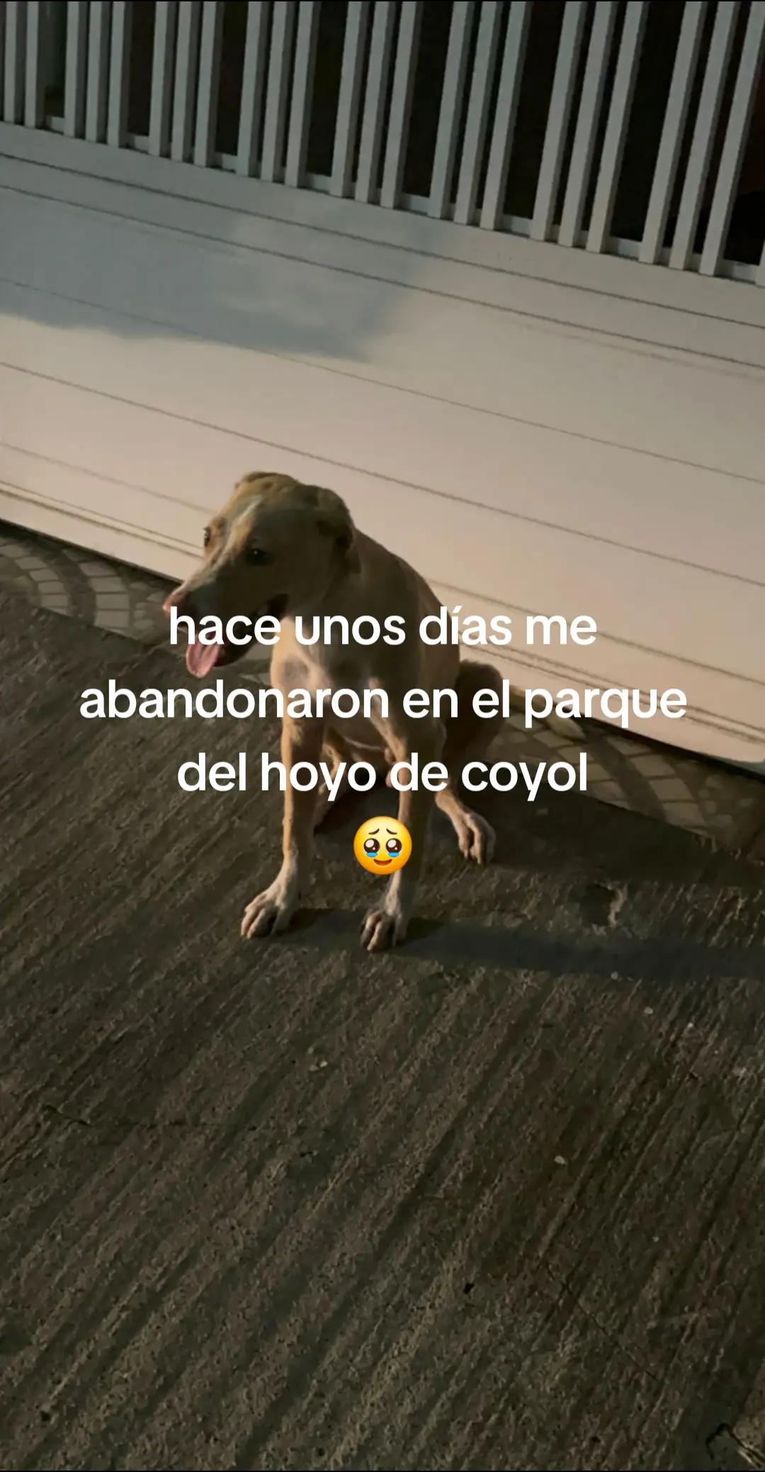 @💫🐝🤍
