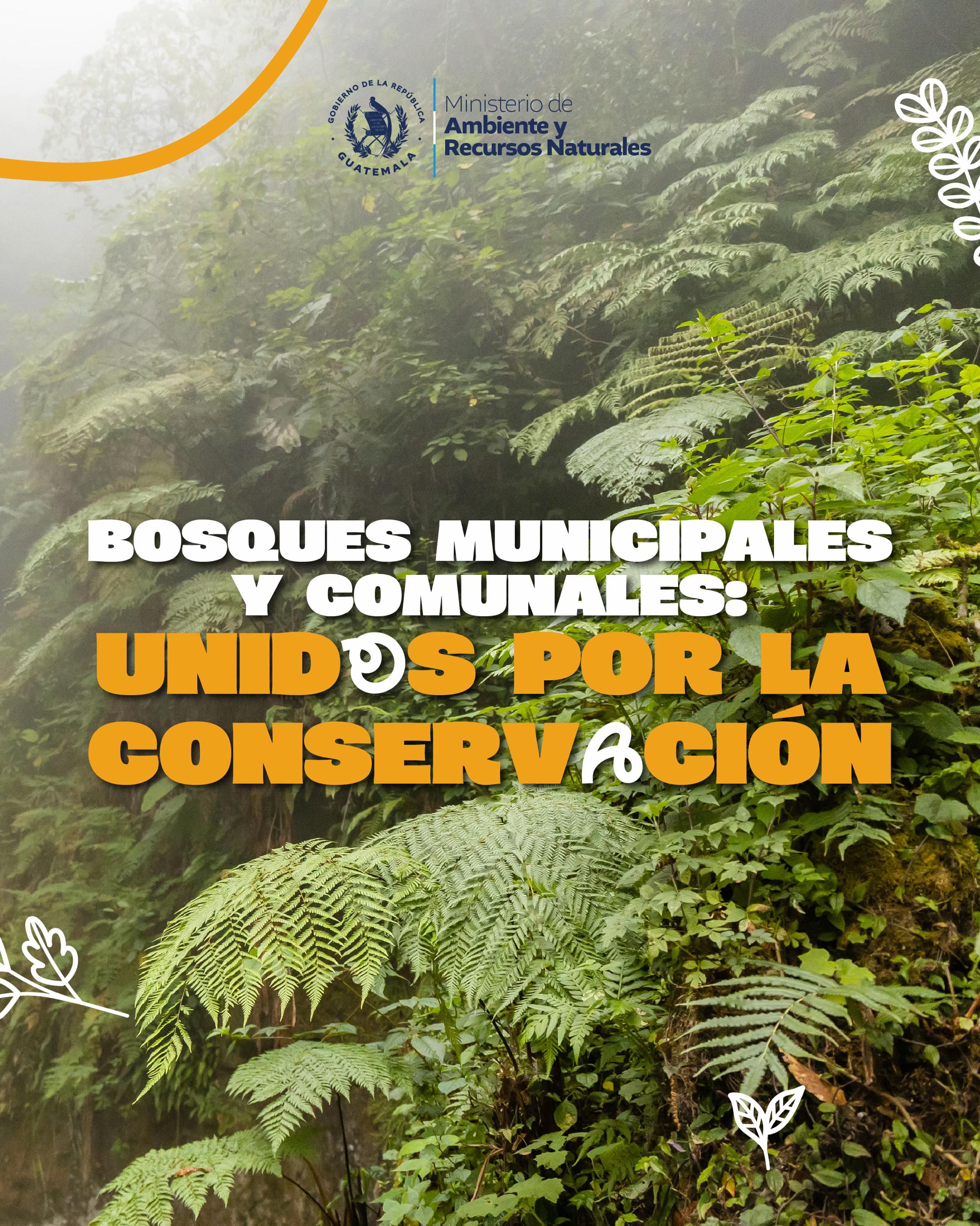 @Ministerio de Ambiente GT