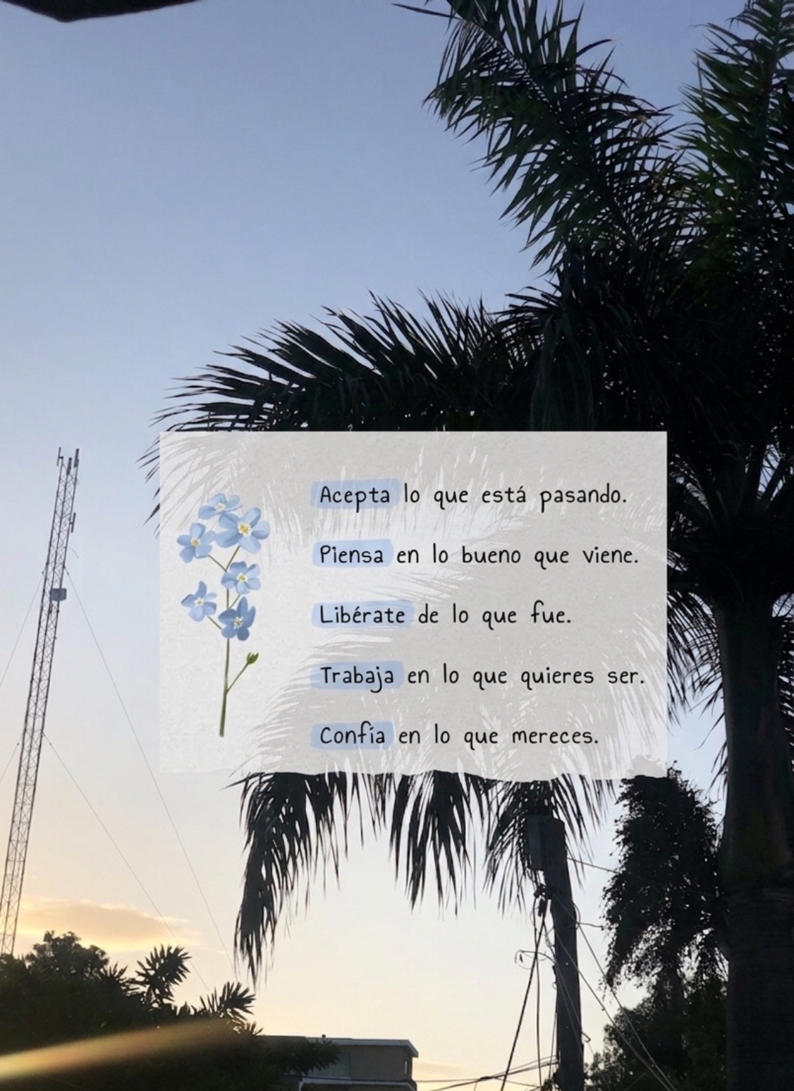 @Filo