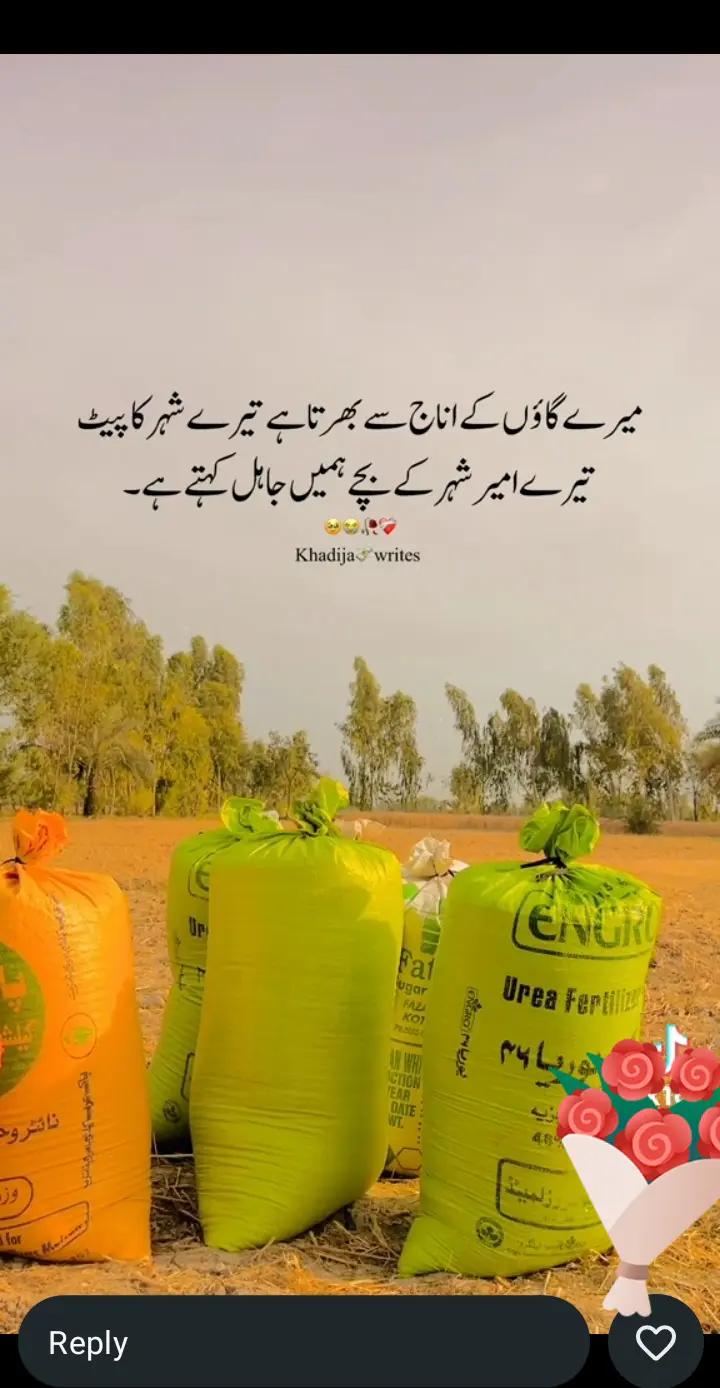 @Abiha imam