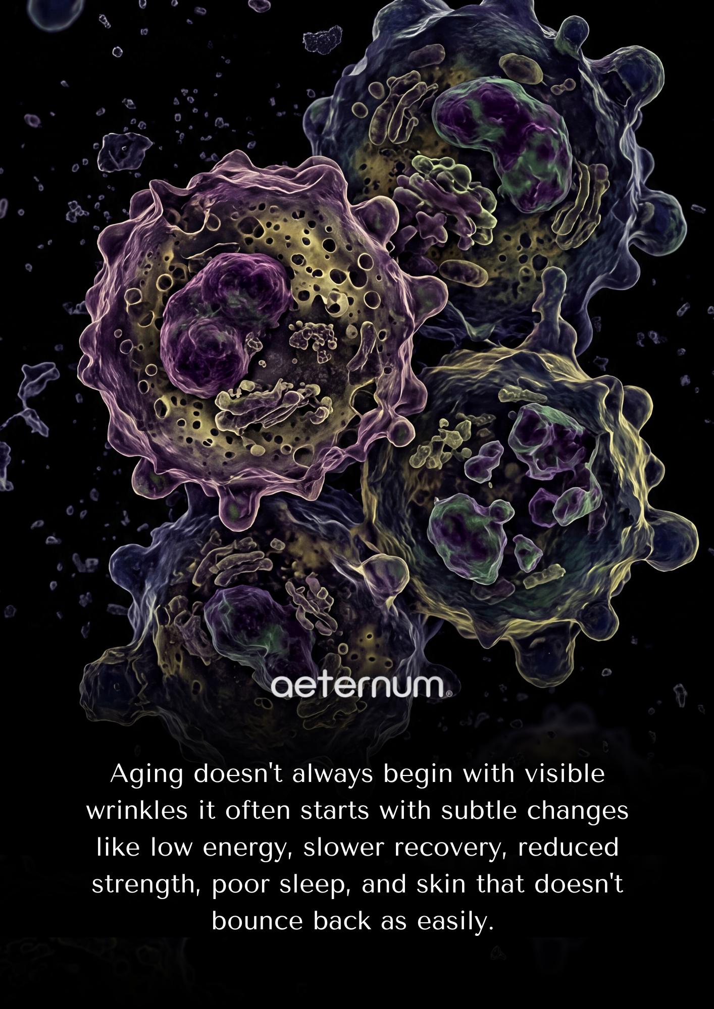 @Aeternum®